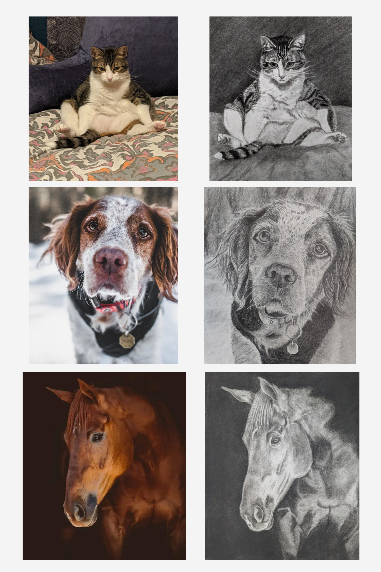 Custom pet portrait