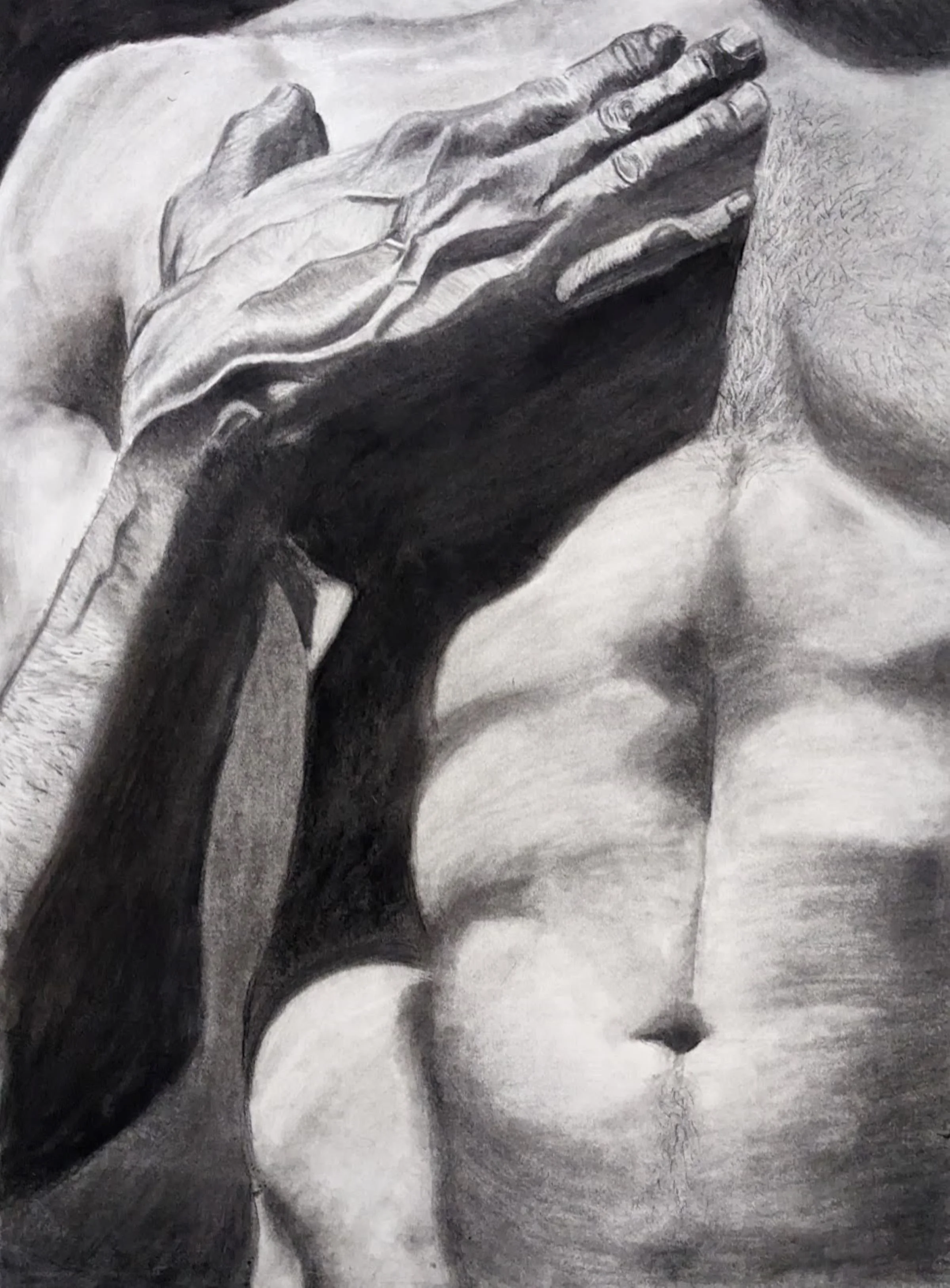 Torso