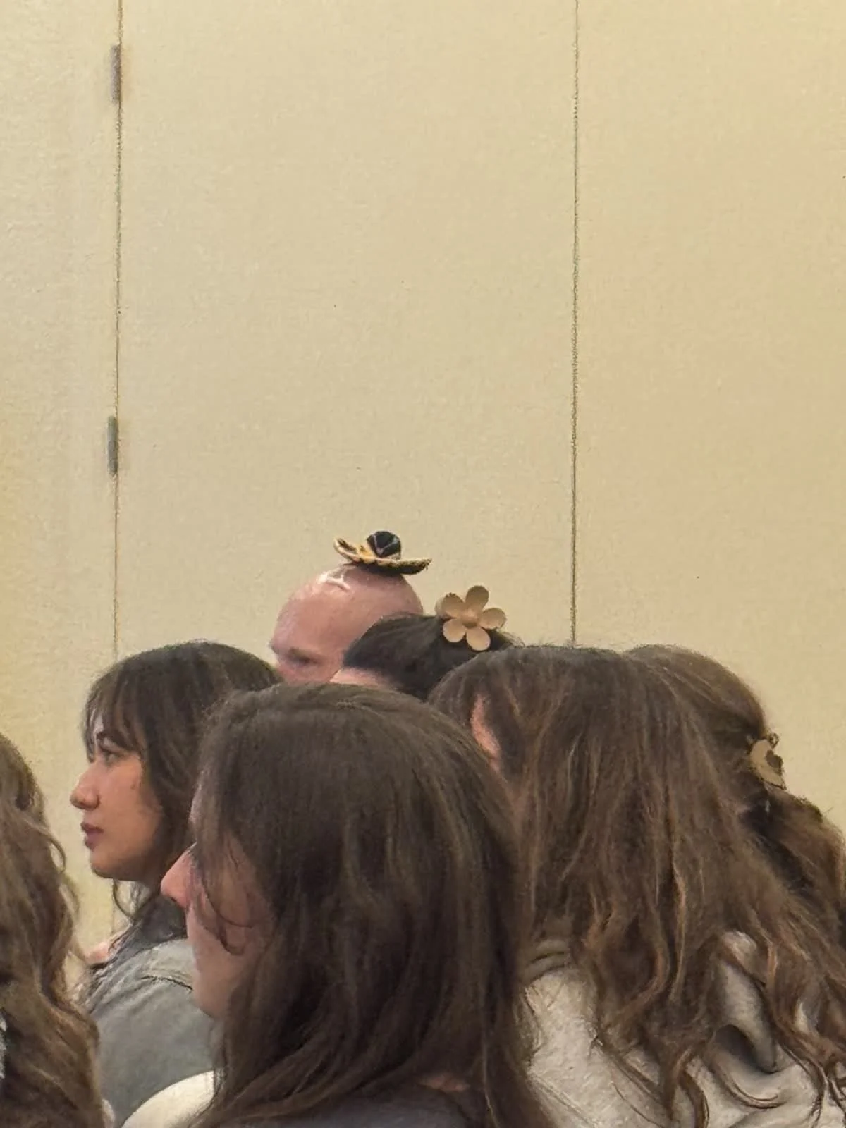 People seated in a room, some with headbands, with a bald man in the background wearing a small hat and a flower, with a decorated butterfly on his head.