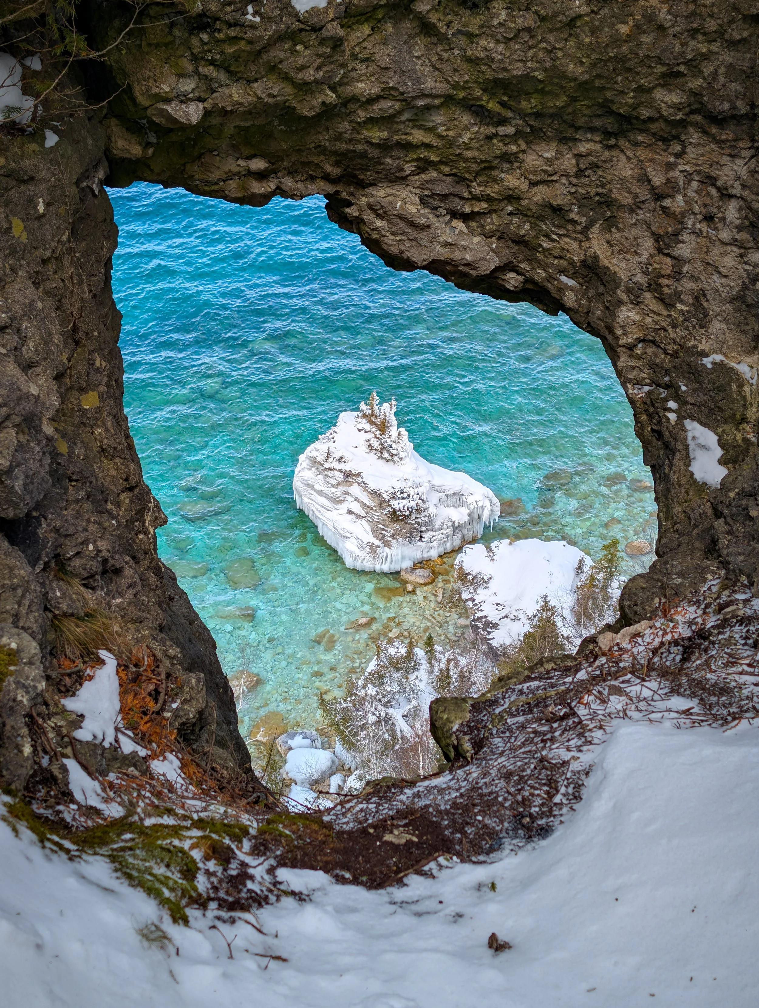 PXL_20260124_163544427.RAW-01.COVER (1).jpg