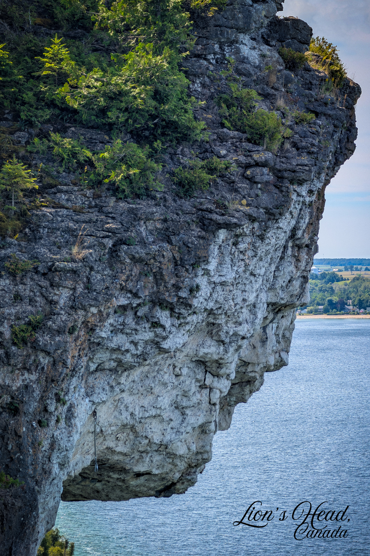 Postcard 5" x 7" ($6.00)