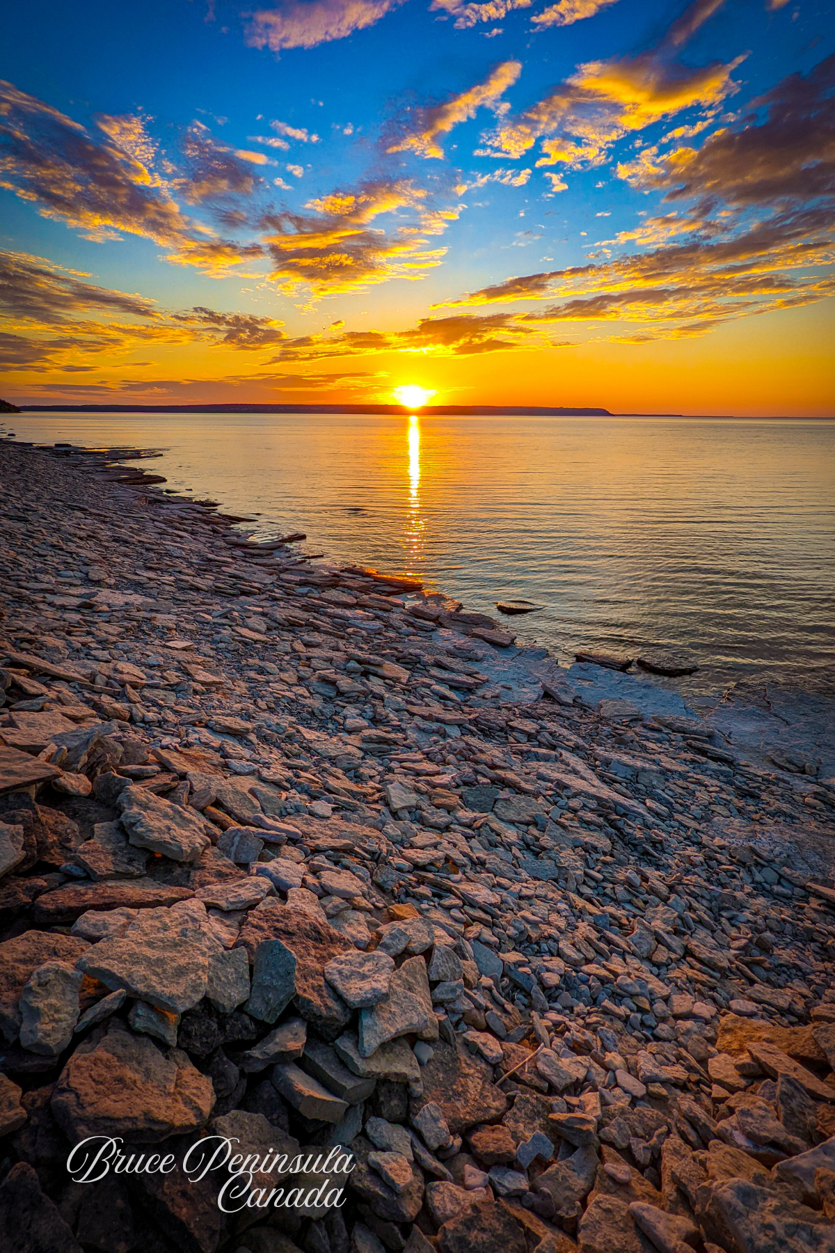 Postcard 5" x 7" ($6.00)