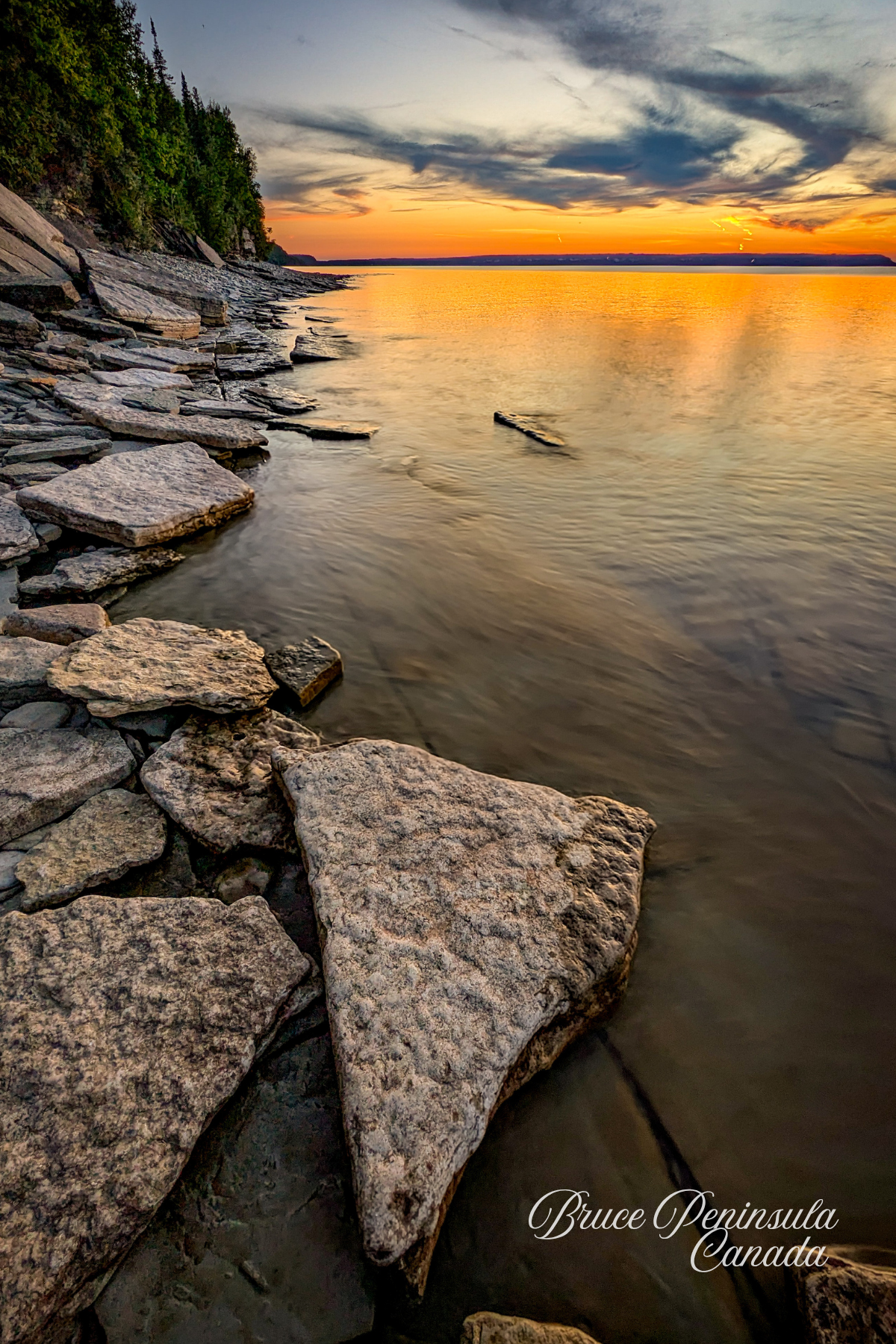 Postcard 5" x 7" ($6.00)