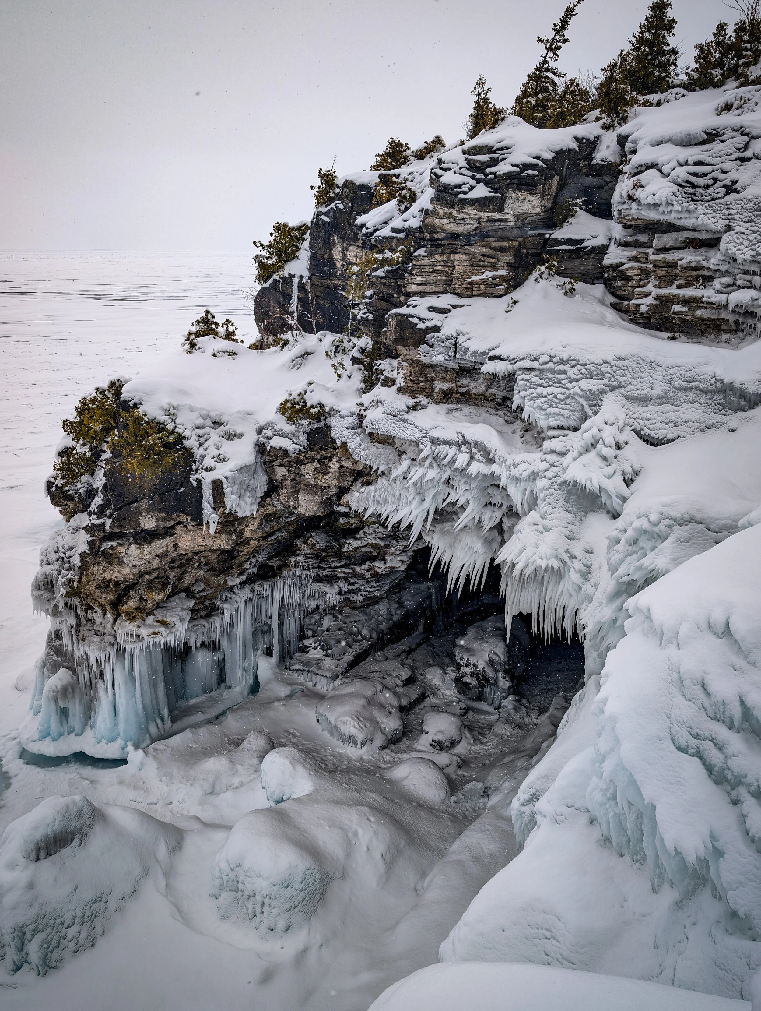 PXL_20260221_173420939.RAW-01.COVER (2).jpg