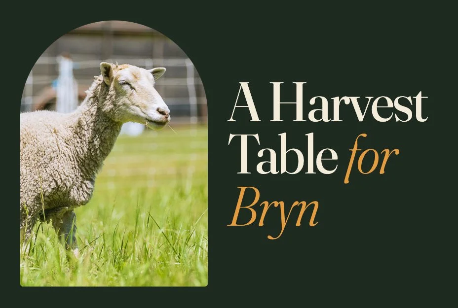 Echo Flock and Fiber Fall Fundraiser Dinner