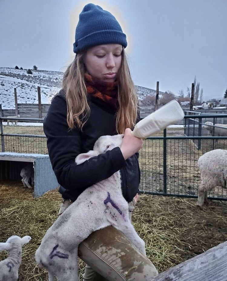 A woman wearing a blue beanie and black jacket feeds a lamb with a bottle while standing outdoors on a farm with sheep in the background.