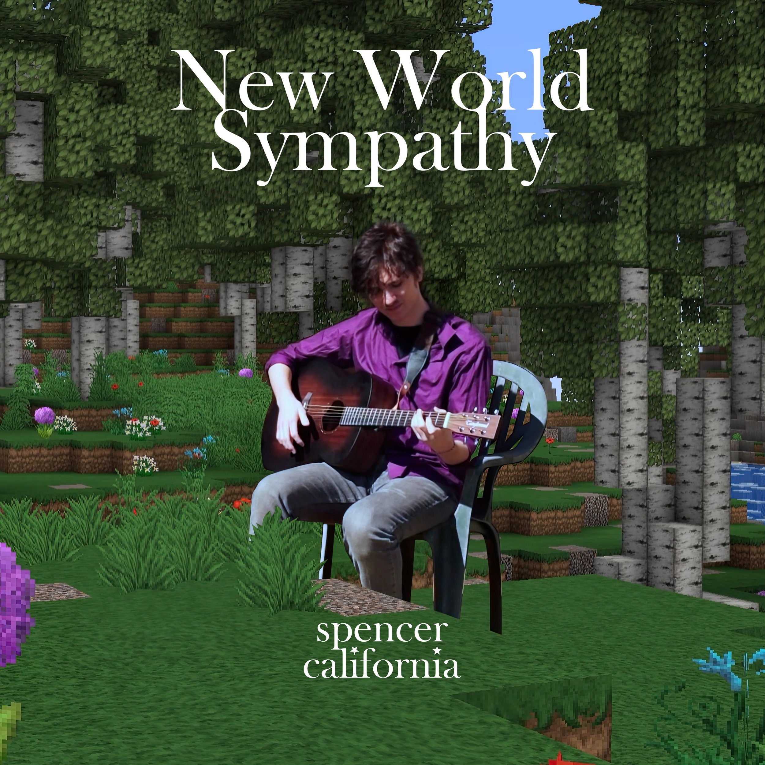 A young man with dark, curly hair, wearing a purple shirt, is playing an acoustic guitar while sitting on a black plastic chair in a digitally altered outdoor setting with pixelated trees, grass, and flowers. The text "New World Sympathy" is displayed at the top and "spencer california" at the bottom.