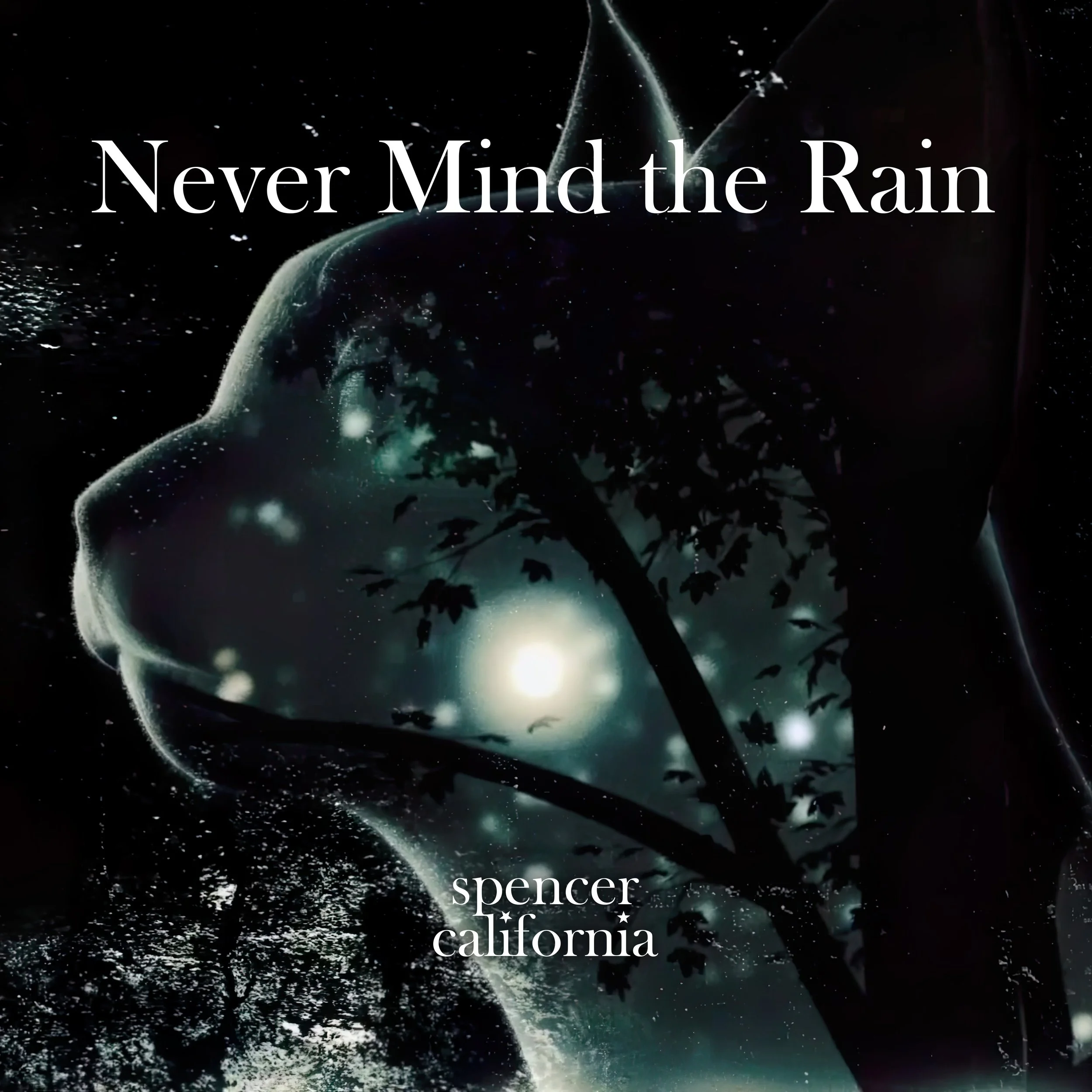 Cover art for the Album "Never Mind the Rain" by Spencer California featuring a double exposure of a cat's profile, a tree silhouette, and a night sky with stars and a full moon.