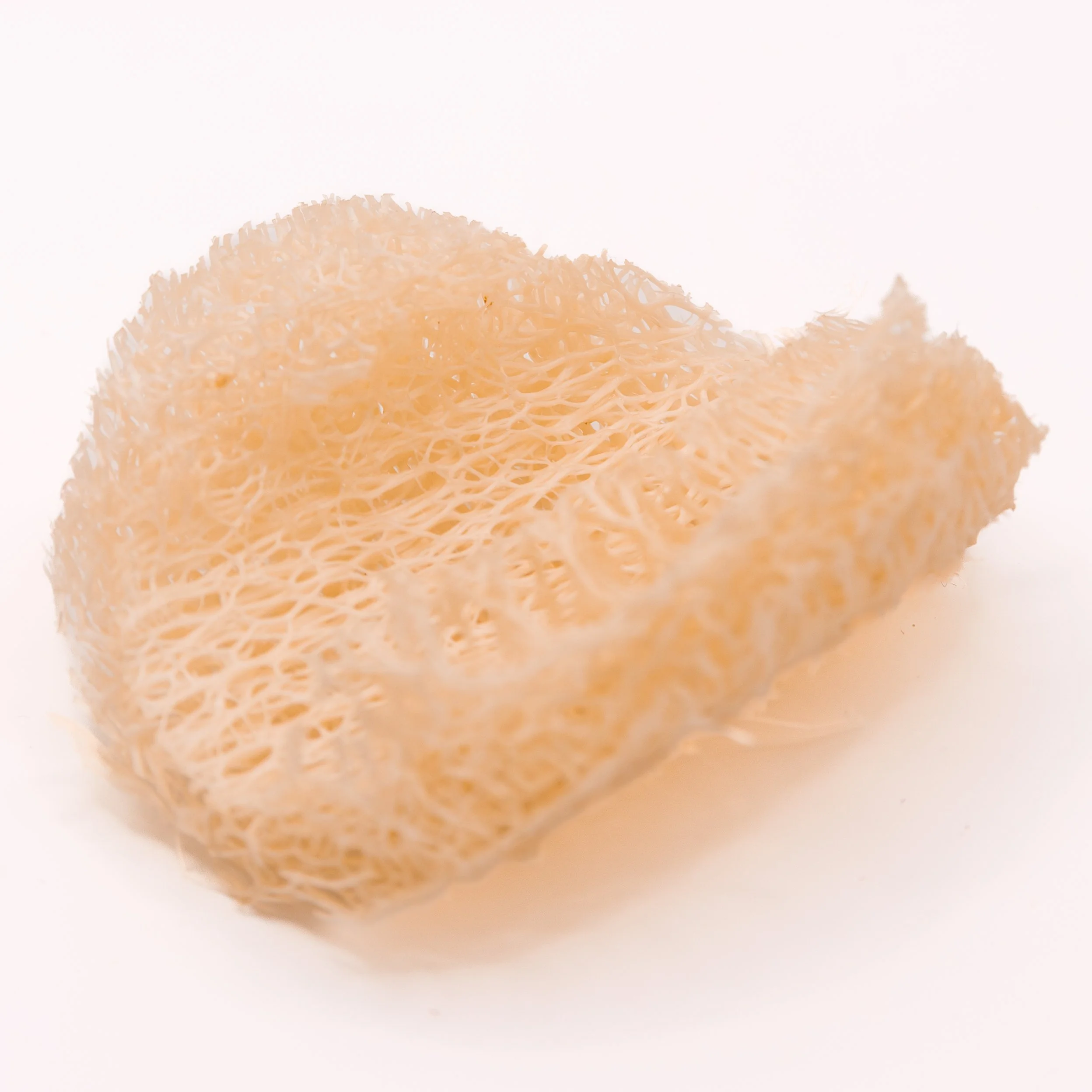 PLASTX PRODUCTS-114.jpg