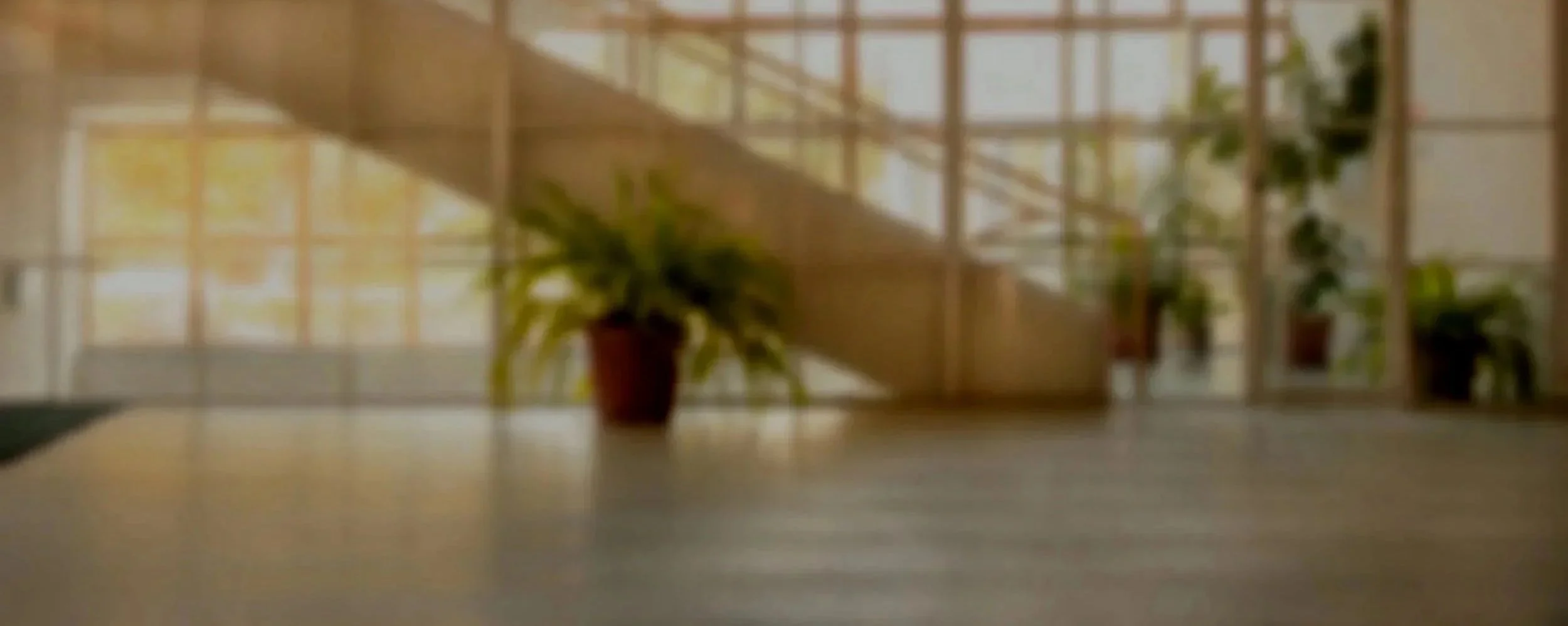 Blurred interior space with potted plants near large windows and a staircase.