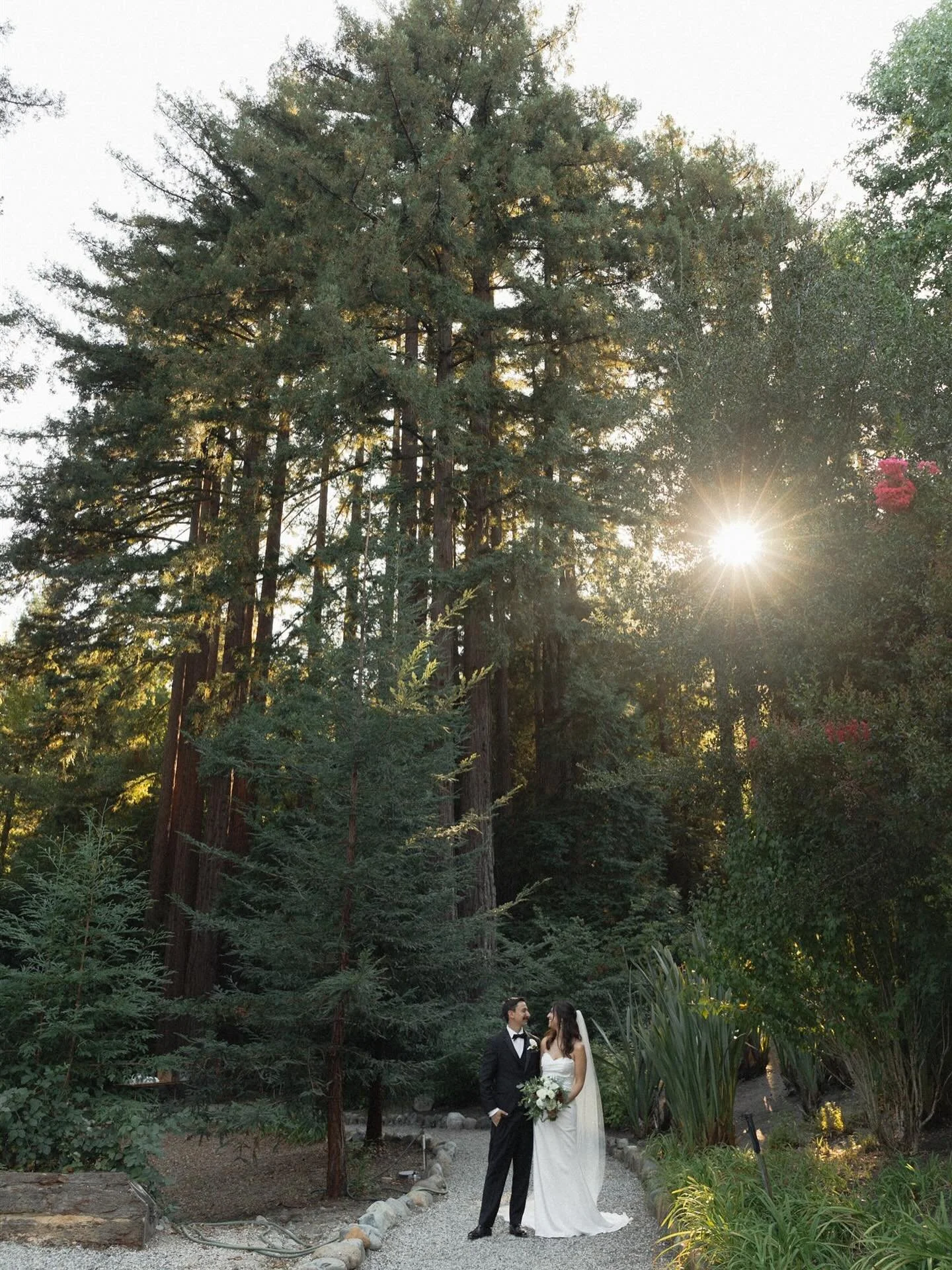 I woke up this morning and it truly felt like fall. The fog lightly covering the backyard, the dew on the grass, and the colors of the leaves all were in full effect. Here comes one of my favorite times of the year and I am so ready for it! What seas