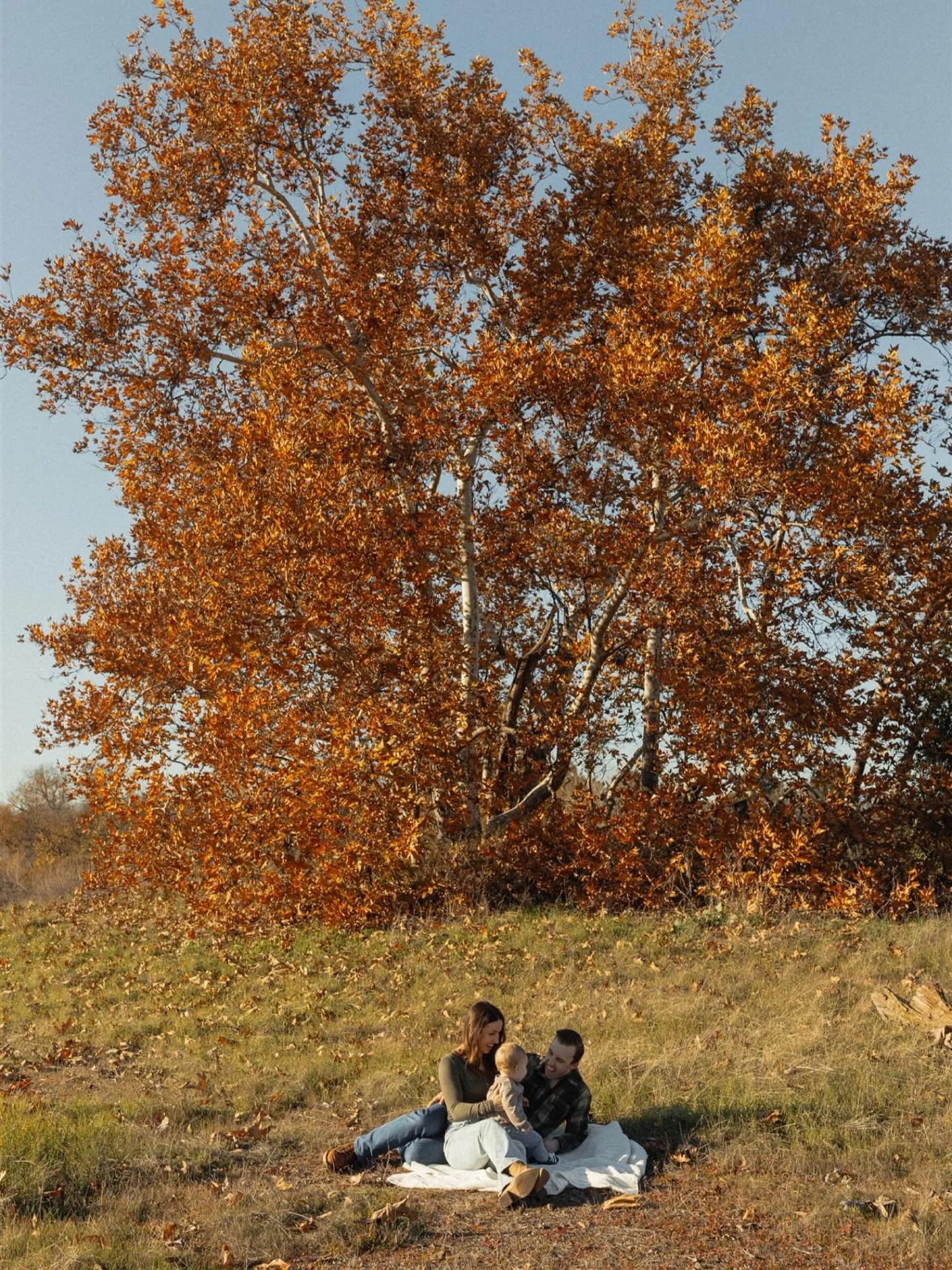 I can never bring myself to stick to just couples/weddings. These cute little families make me melt EVERY, DANG, TIME! More of this in 2026, yes? 

#familyphotography #fall #wintervibes #toddler #bayarea