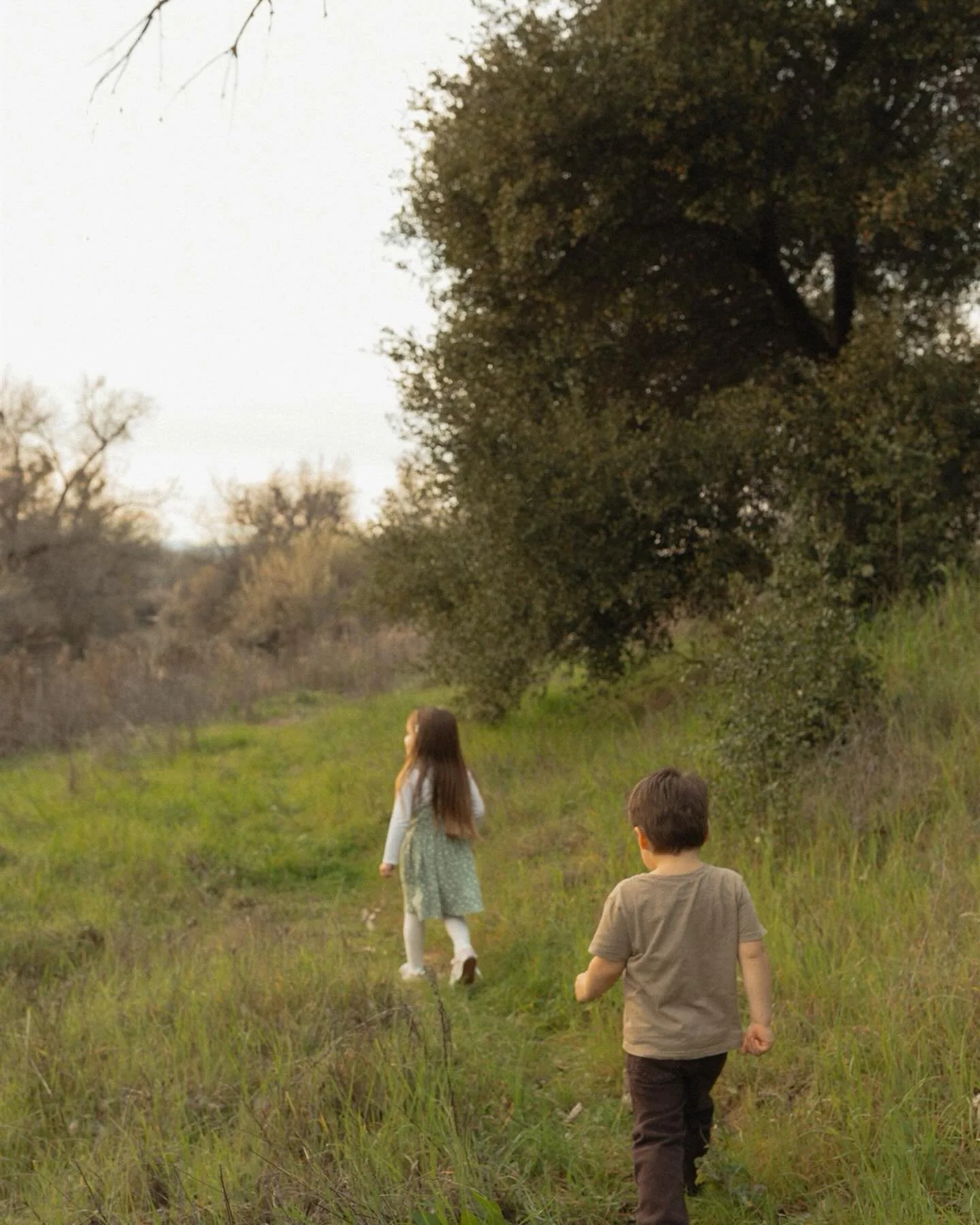 Explored all the places during this session🤍 who knew gilroy could look like the North Carolina marshes!

#family #fields #marshes