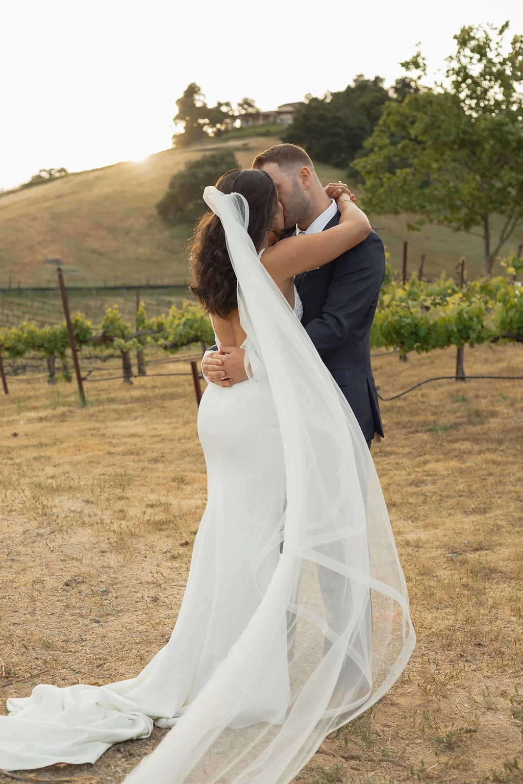 A newlywed couple embracing in a vineyard during sunset, with the bride wearing a white wedding gown and veil and the groom in a dark suit.