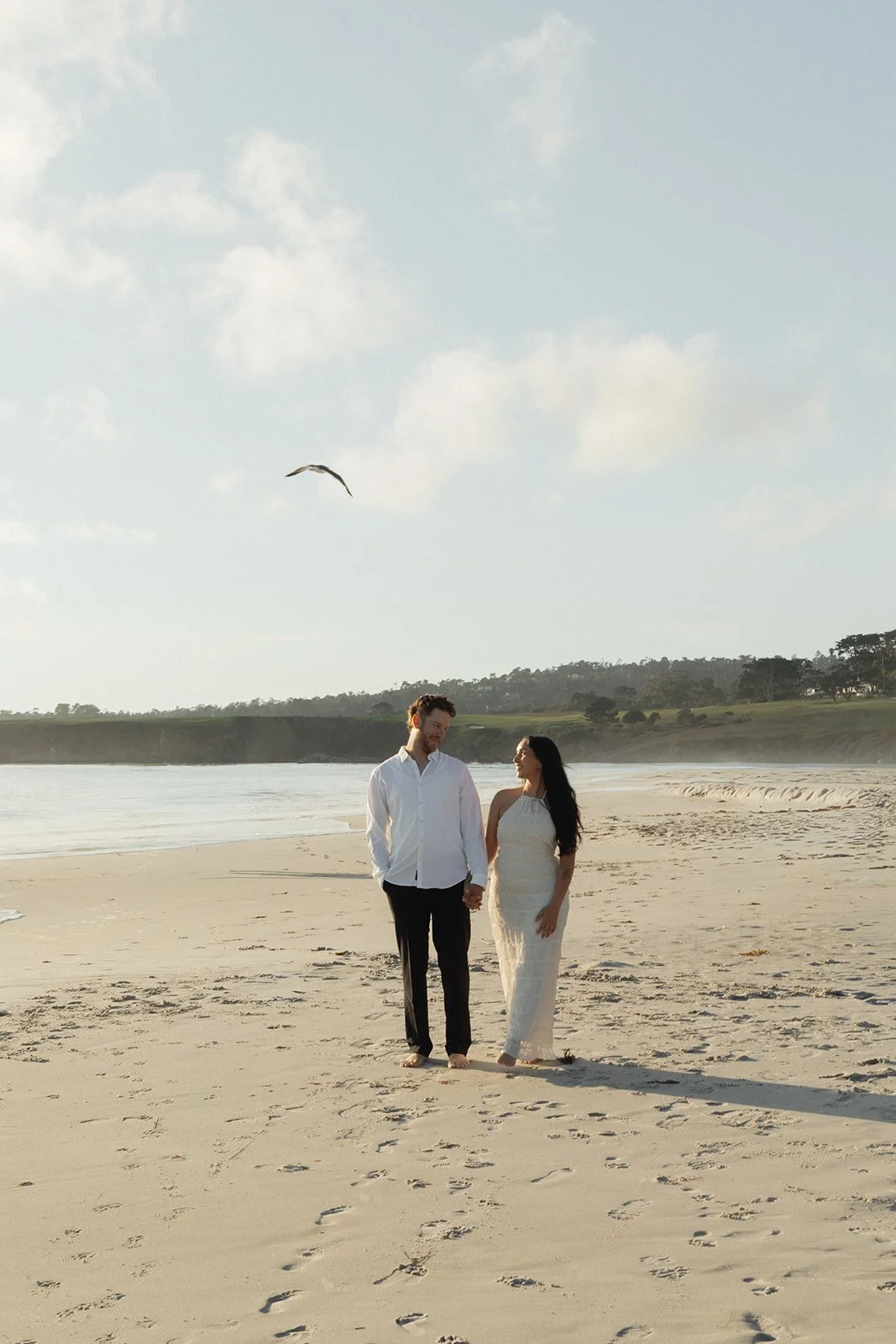 A couple holding hands walks barefoot on a sandy beach, with the ocean to their left and a cloudy sky overhead. A seagull flies in the sky above them, and hills with trees are visible in the background.