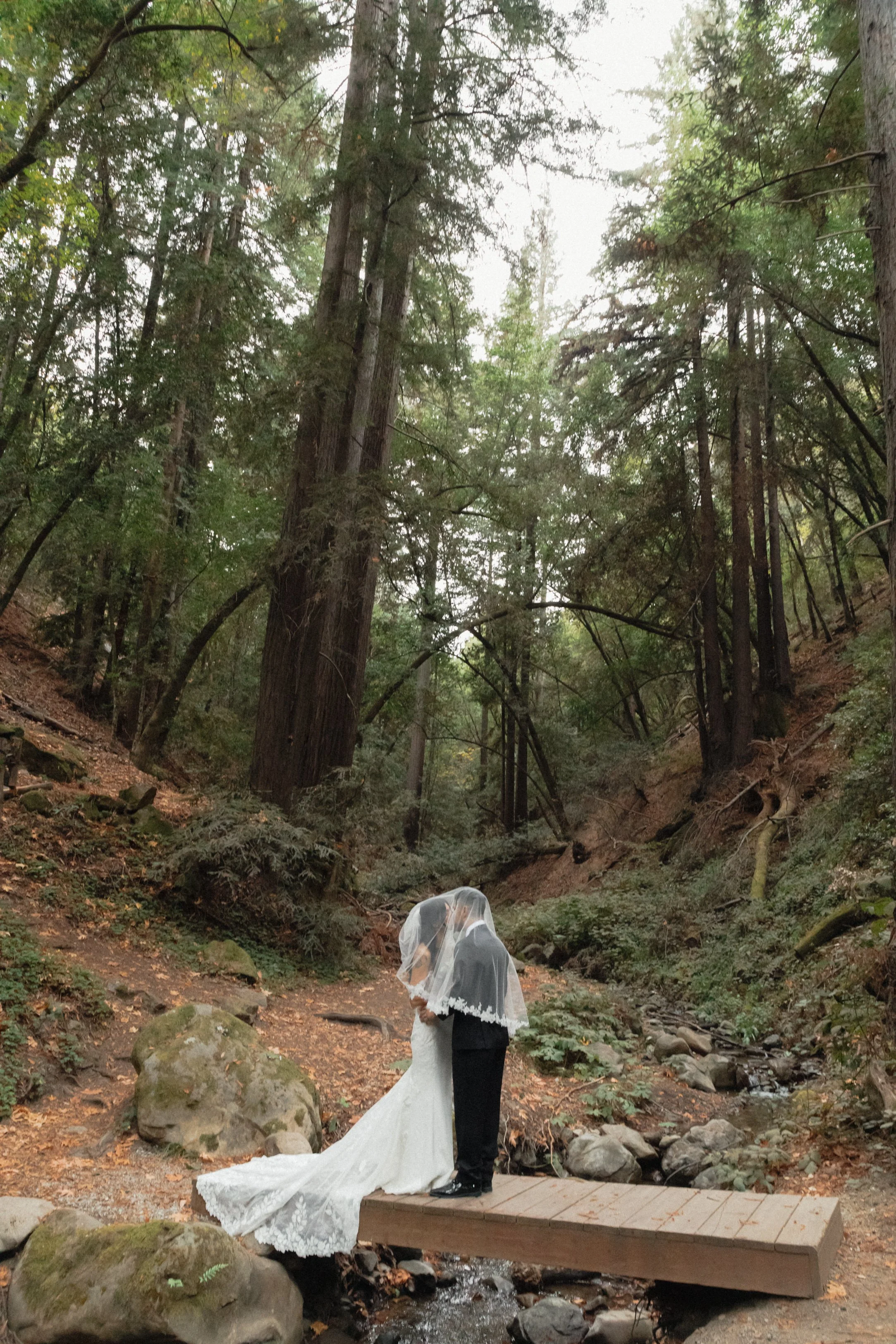A bride and groom standing on a small wooden bridge in a forest, sharing a first kiss under a translucent veil.