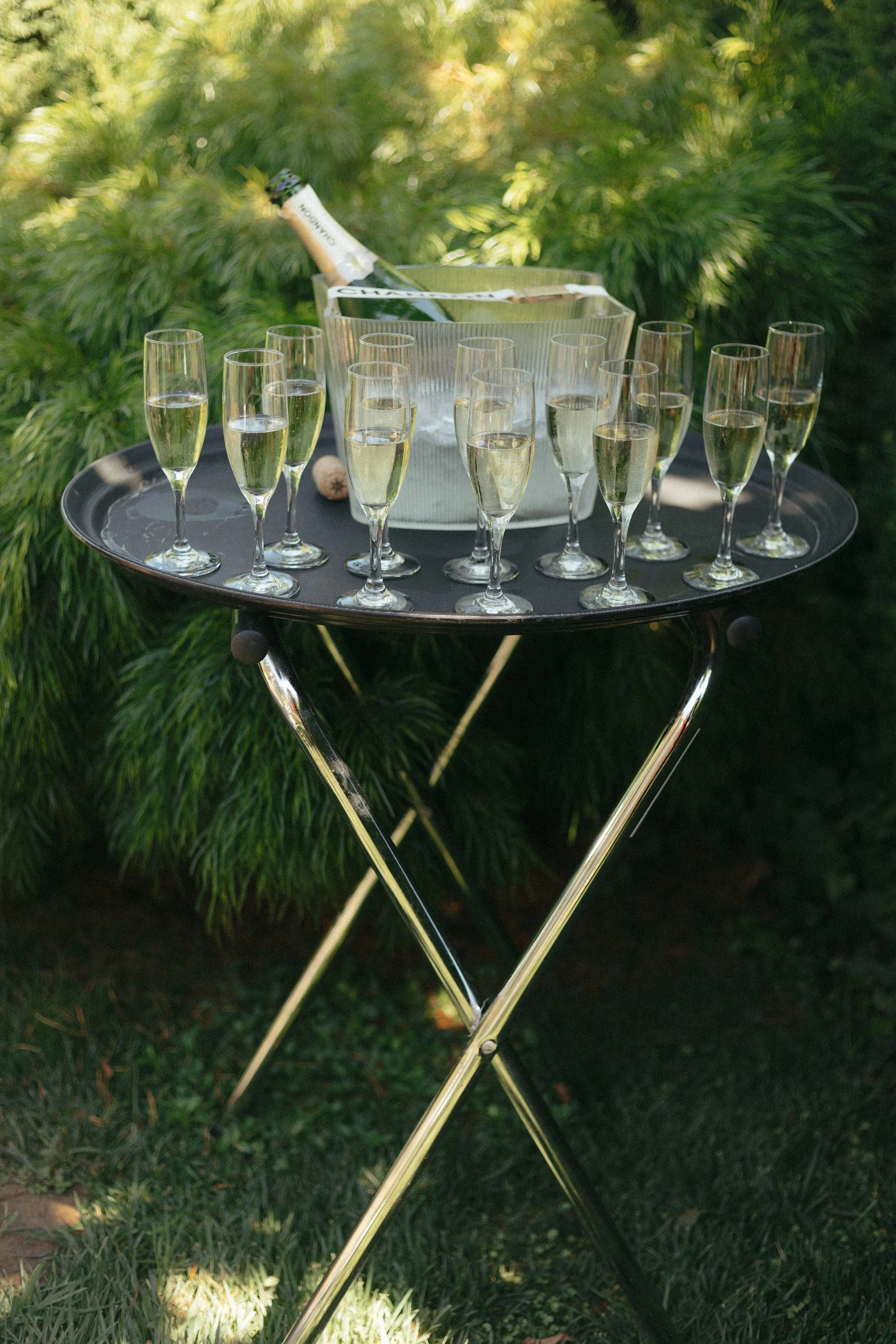 Champagne bottles chilling in an ice bucket on a table with 17 filled champagne flutes, outdoors with green foliage in the background.