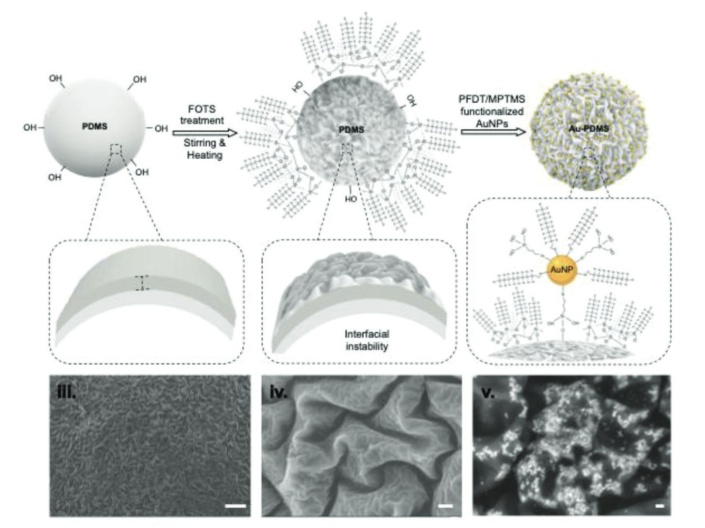 Diagram showing the process of transforming PDMS into functionalized gold nanoparticles for biomedical applications through chemical treatment, heating, and surface modification, accompanied by electron microscope images of different nanostructures.
