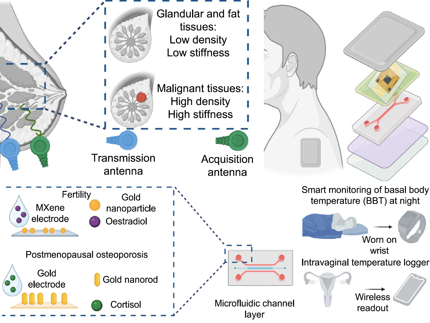 Diagram showing medical and technological components, including antennas, tissue types, nanoparticles, electrodes, microfluidic layers, and devices used for monitoring and diagnosing conditions such as breast tissue, osteoporosis, and basal body temperature.