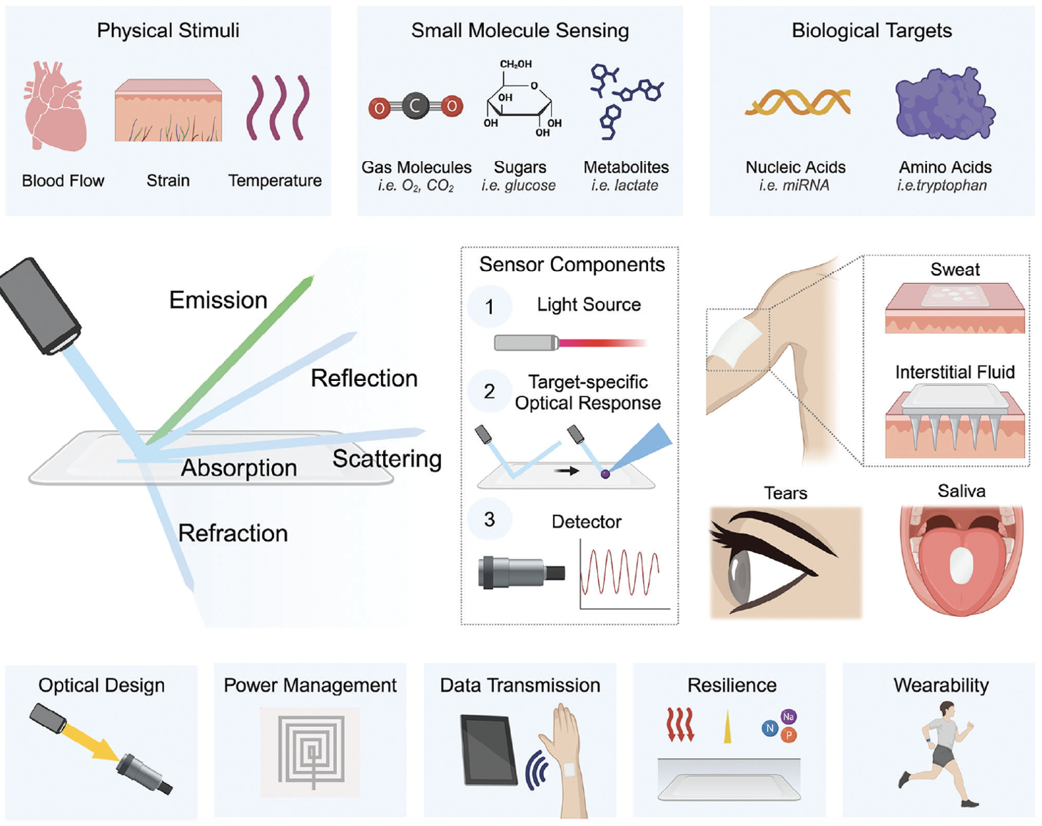 Diagram showing the process of biological sensing. Top sections depict stimuli like blood flow, temperature, and strain; molecules such as gases, sugars, and metabolites; and targets like nucleic acids and amino acids. The middle section illustrates a sensor detecting sweat, tears, saliva, and interstitial fluid using light source, optical response, and detector components. The bottom sections detail aspects of the sensor's design including optical design, power management, data transmission, resilience, and wearability.
