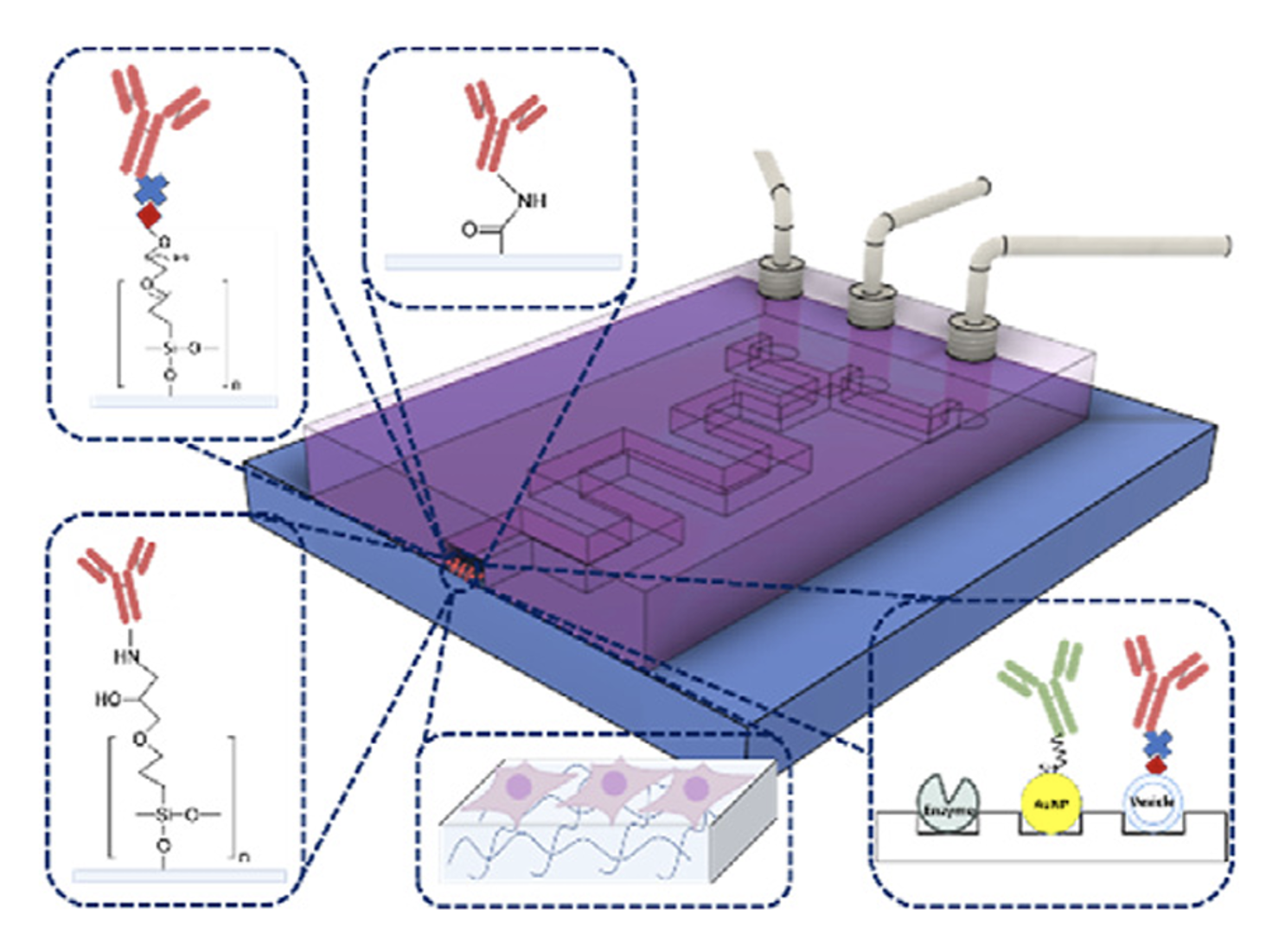 Diagram showing a biosensor with a purple detection surface, three white tubes connected to a purple surface, and illustrations of molecular binding and electron transfer processes.