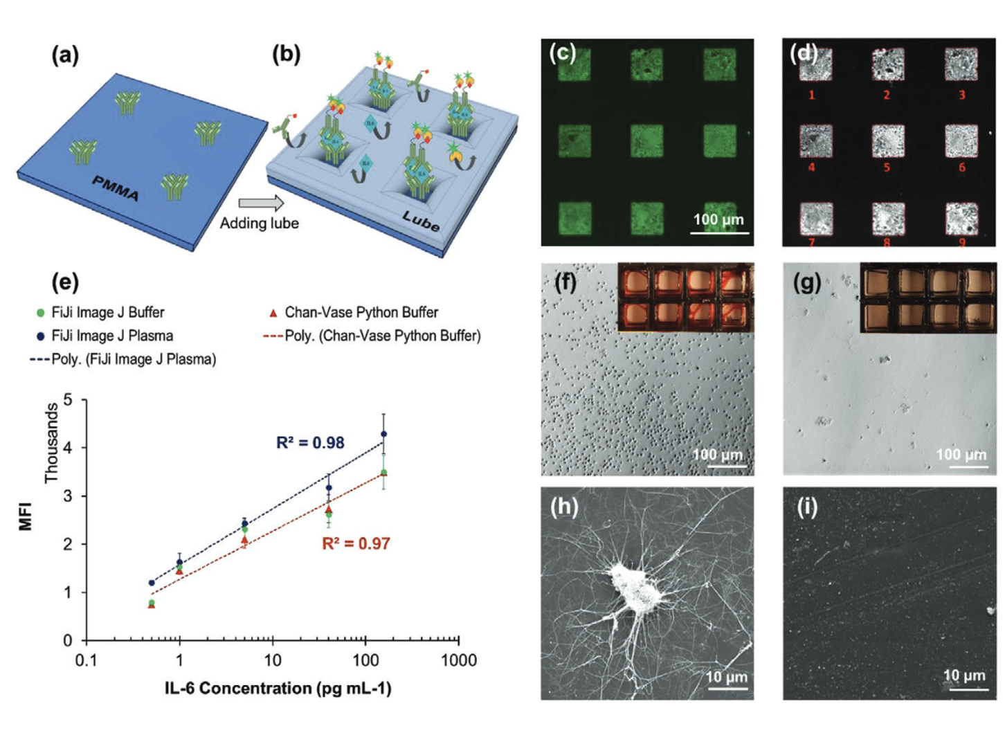 Scientific diagram showing experimental steps, microscopy images, and a graph related to cell imaging and analysis with different buffers, stainings, and microscopy techniques labeled as panels a through i.