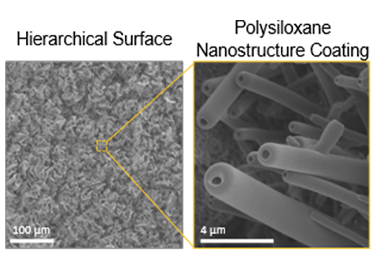 Microscopic images comparing a hierarchical surface with a polysiloxane nanostructure coating. Left image shows a rough surface at 100 micrometers scale, right image shows a nanostructured surface at 4 micrometers scale.