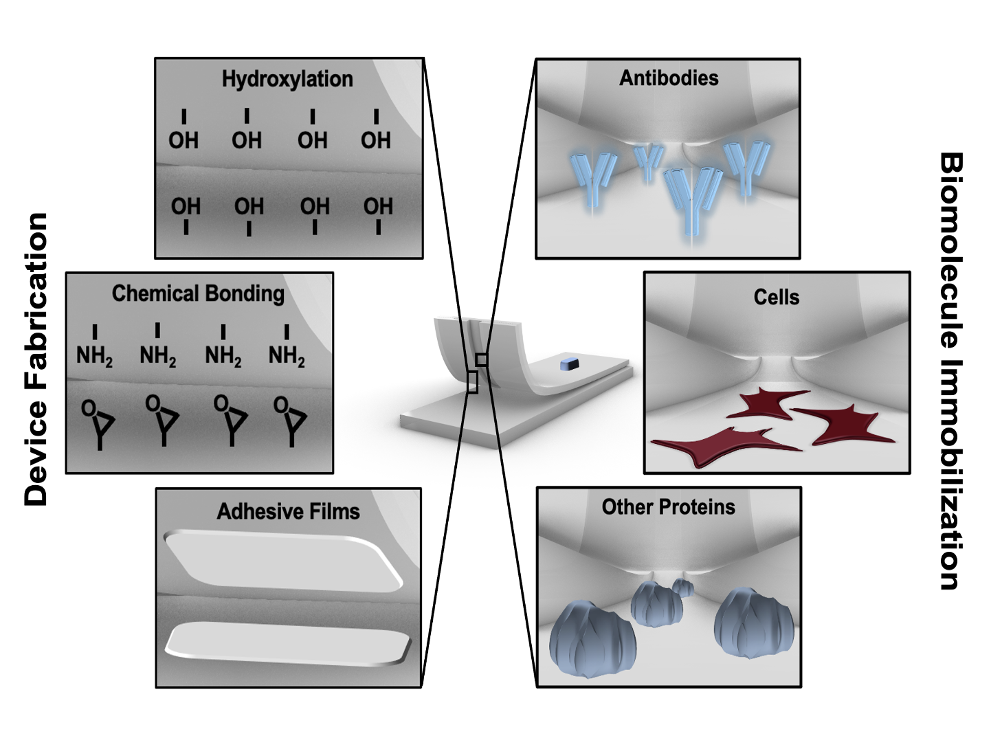 Diagram showing biomedical device fabrication processes, including hydrolyzation, chemical bonding, adhesive films, antibody, cells, other proteins, with labels for each process and visualization of molecular structures.