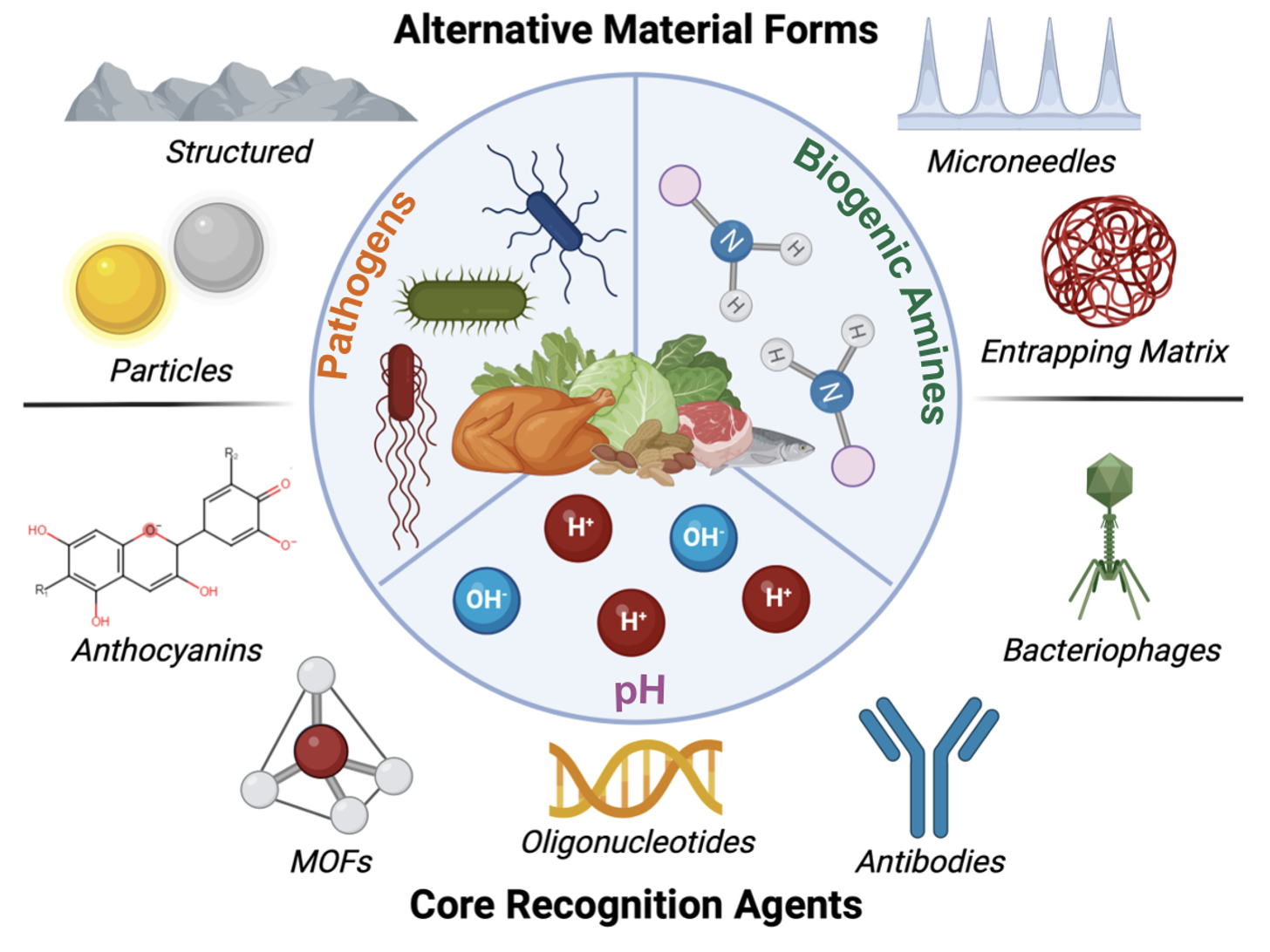 Diagram showing alternative material forms for immune system core recognition agents. It includes sections for pathogens like bacteria and viruses, biogenic amines, and various molecules such as particles, structured materials, anthocyanins, MOFs, oligonucleotides, and antibodies. The diagram also depicts elements like parts of food and bacteria, with labels for pH and various molecular structures.