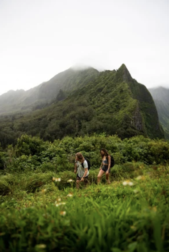 Screenshot 2026-03-16 at 10.04.12 AM.png