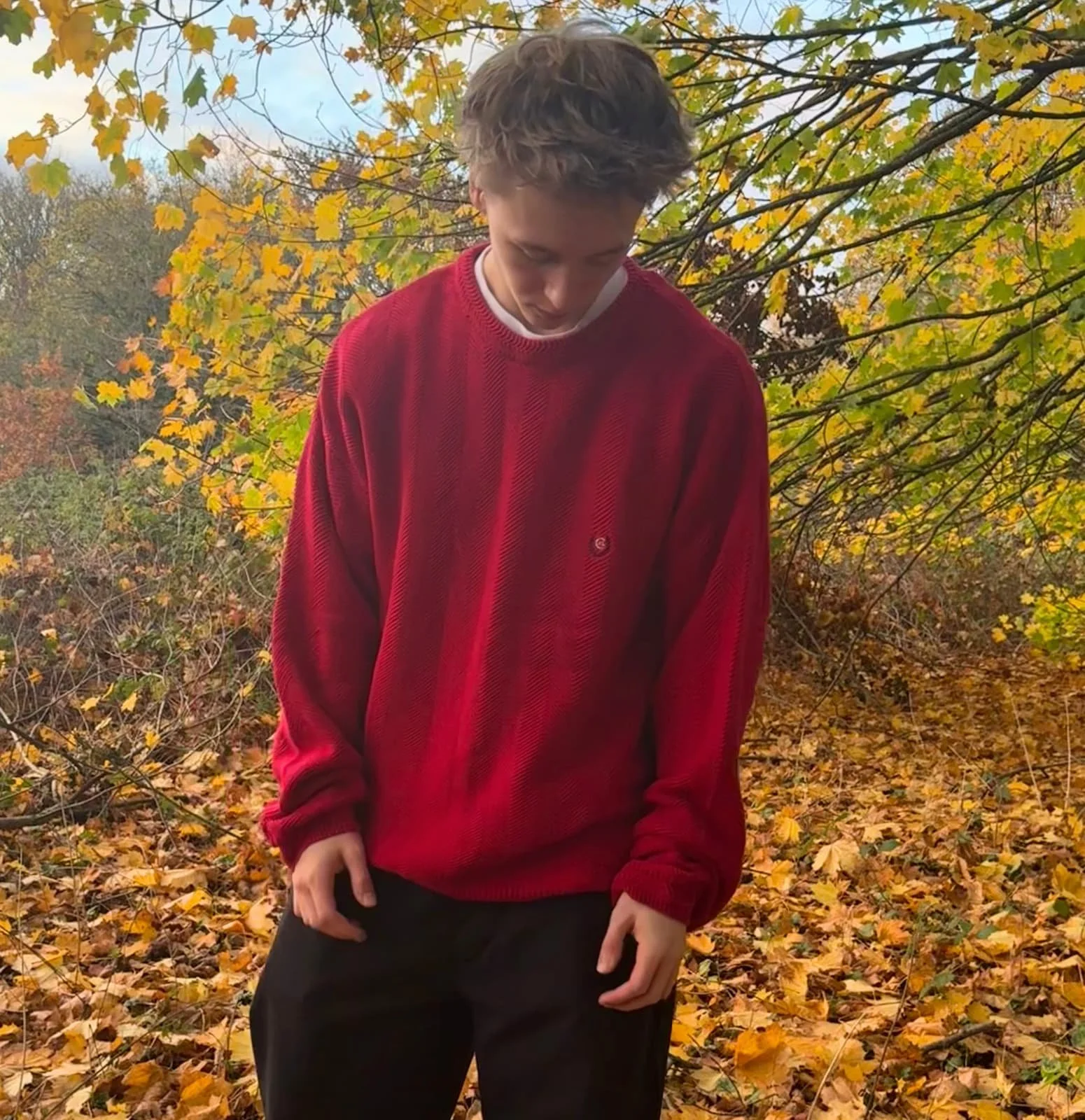 A young man wearing a red sweater and black pants standing outdoors among fallen autumn leaves, with trees that have green and yellow leaves in the background.