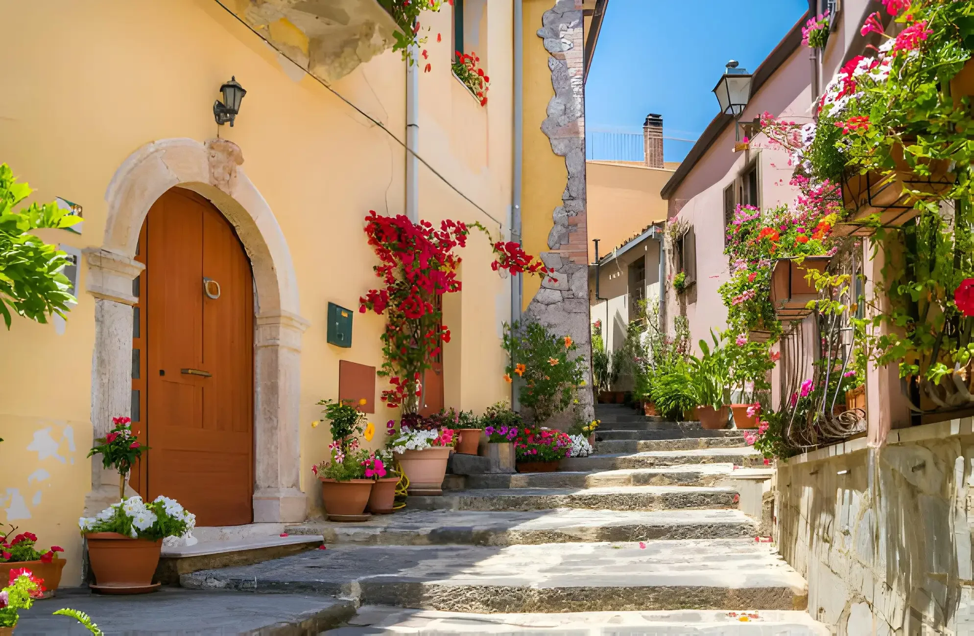 Bar vitellli savoca.webp