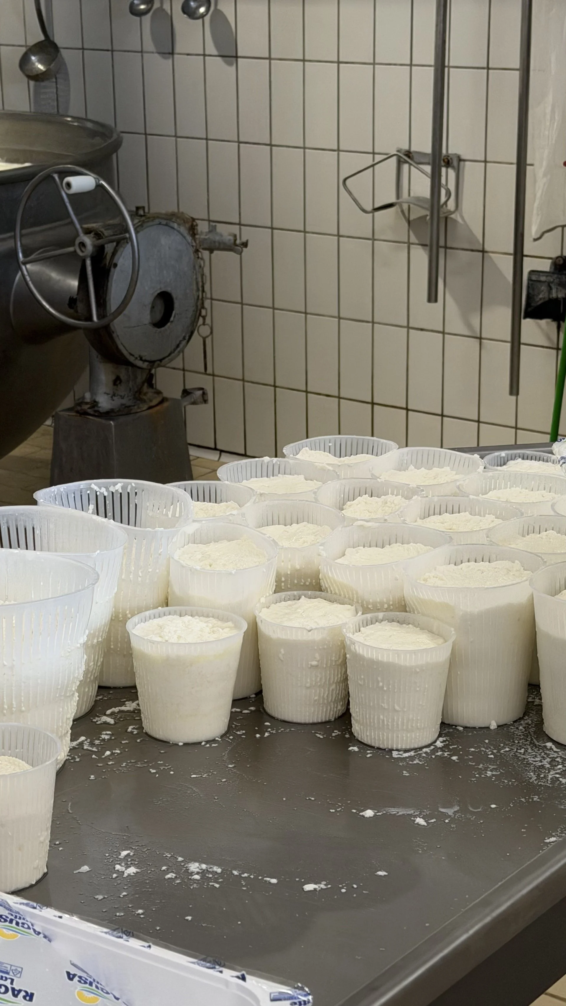 ricotta 1.jpeg