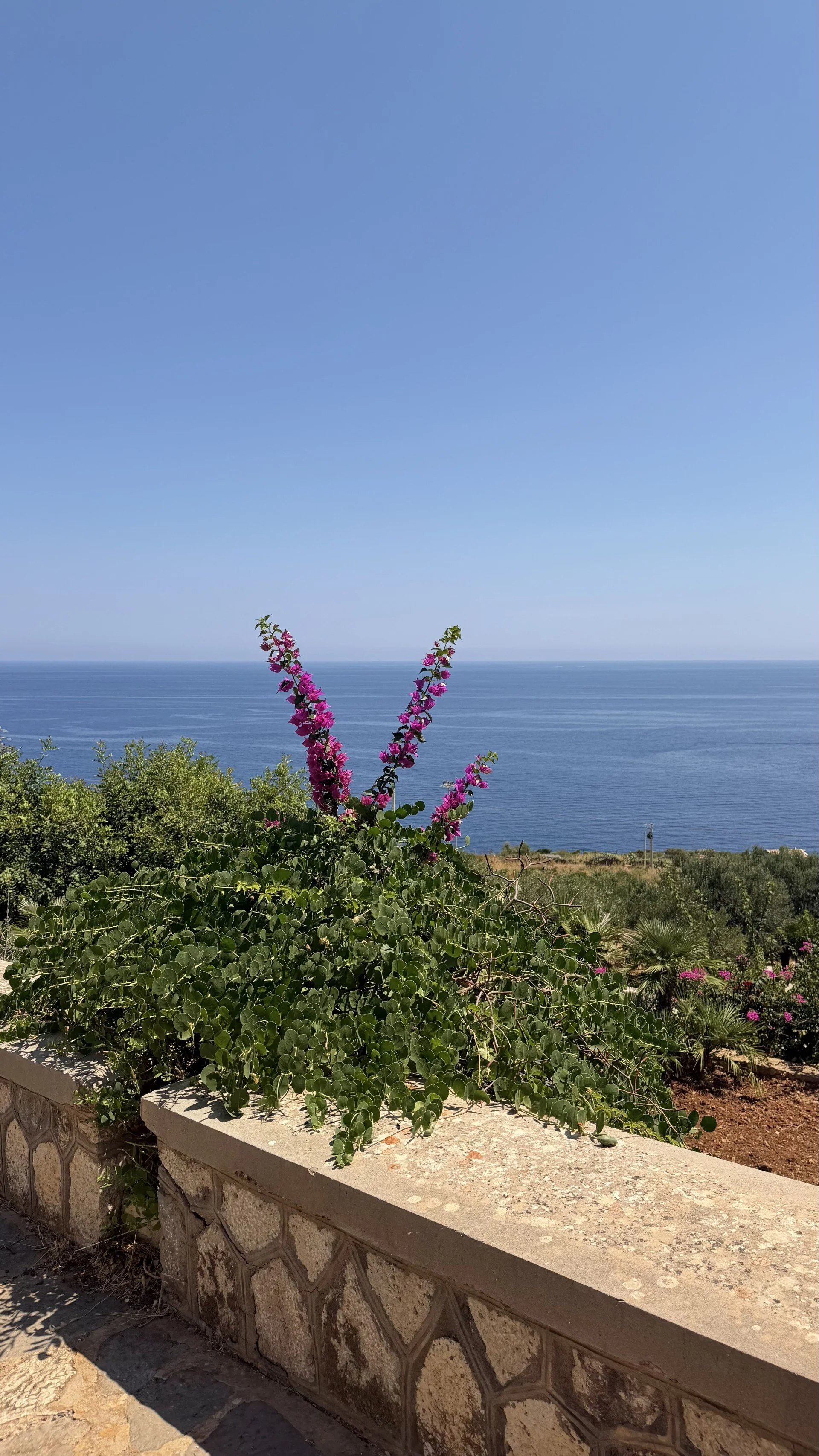san vito 2.jpeg
