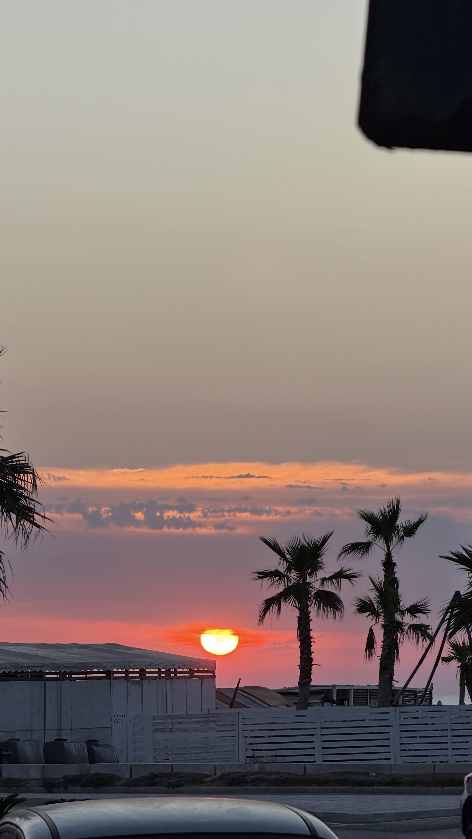 sunset.jpeg