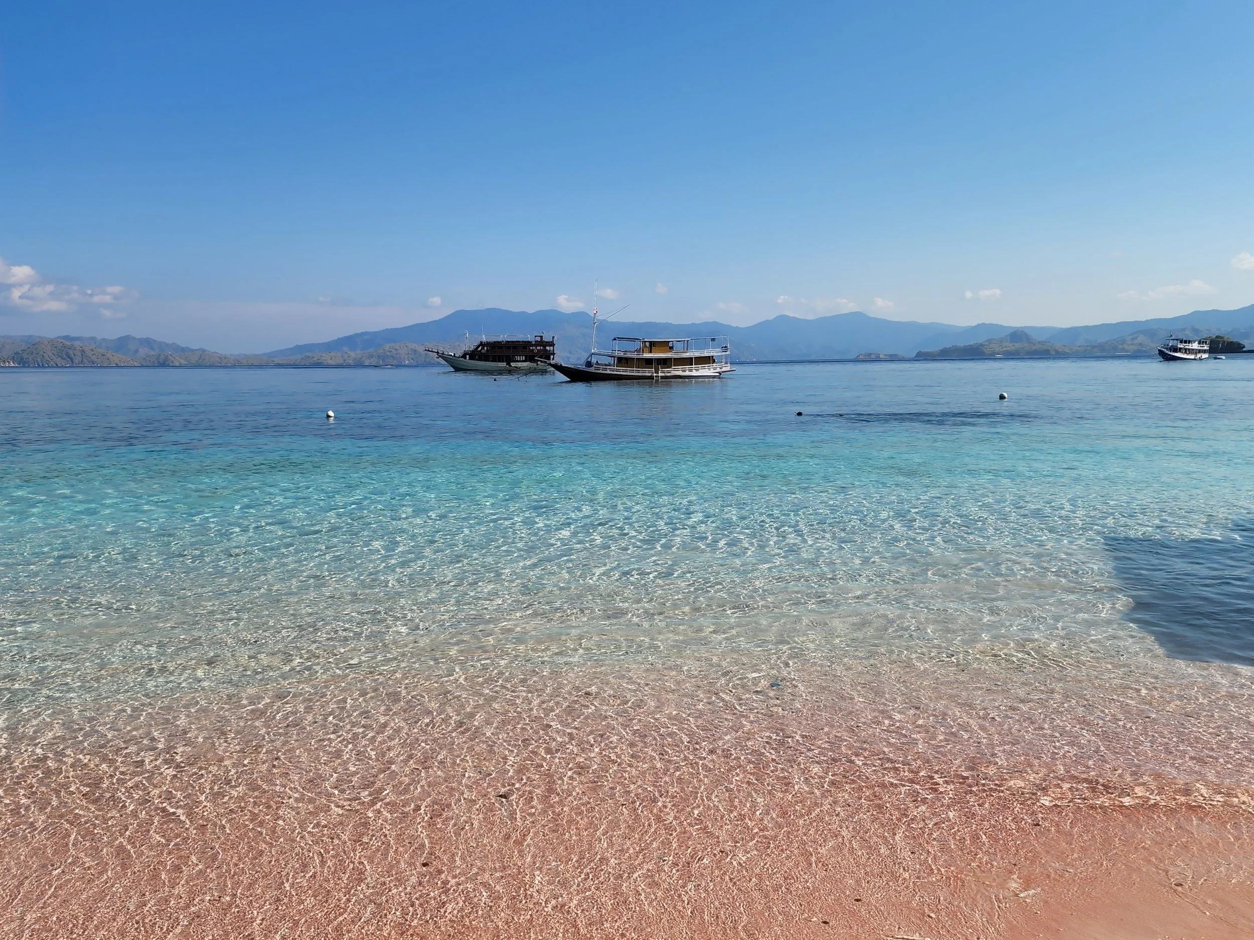 vecteezy_close-up-view-of-pink-beach-in-labuan-bajo-east-nusa_8016180.jpg