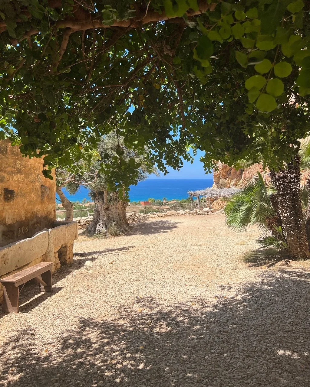 En skuggig plats med träd och buskar, utsikt mot havet i bakgrunden, inklusive en liten bänk och en stenmur i Custonaci, Trapani i Sicilien.