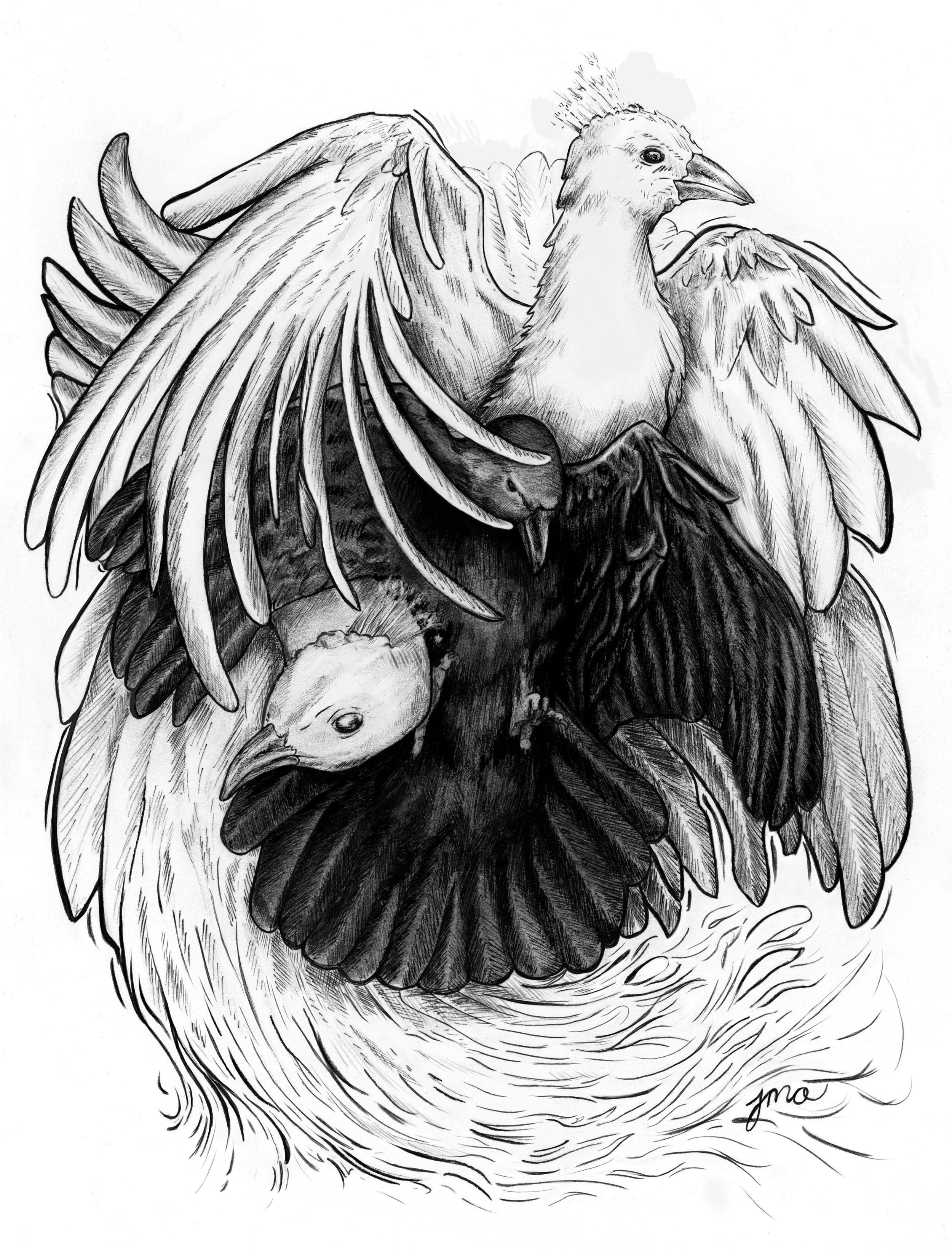 BirdsInking DrawingEditing EDITEDFINAL.jpg