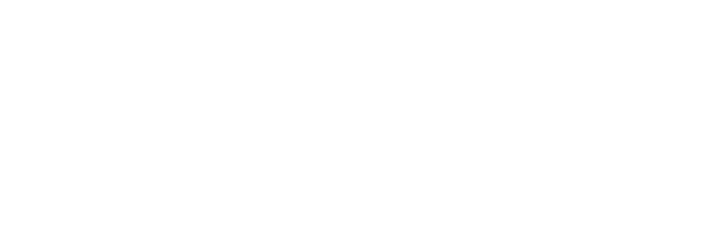 The word 'NOEL' written in large white serif font on a black background.