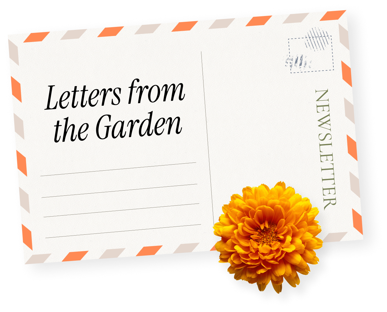 A postcard titled 'Letters from the Garden' with a bright orange flower at the bottom, and a red and white striped border.
