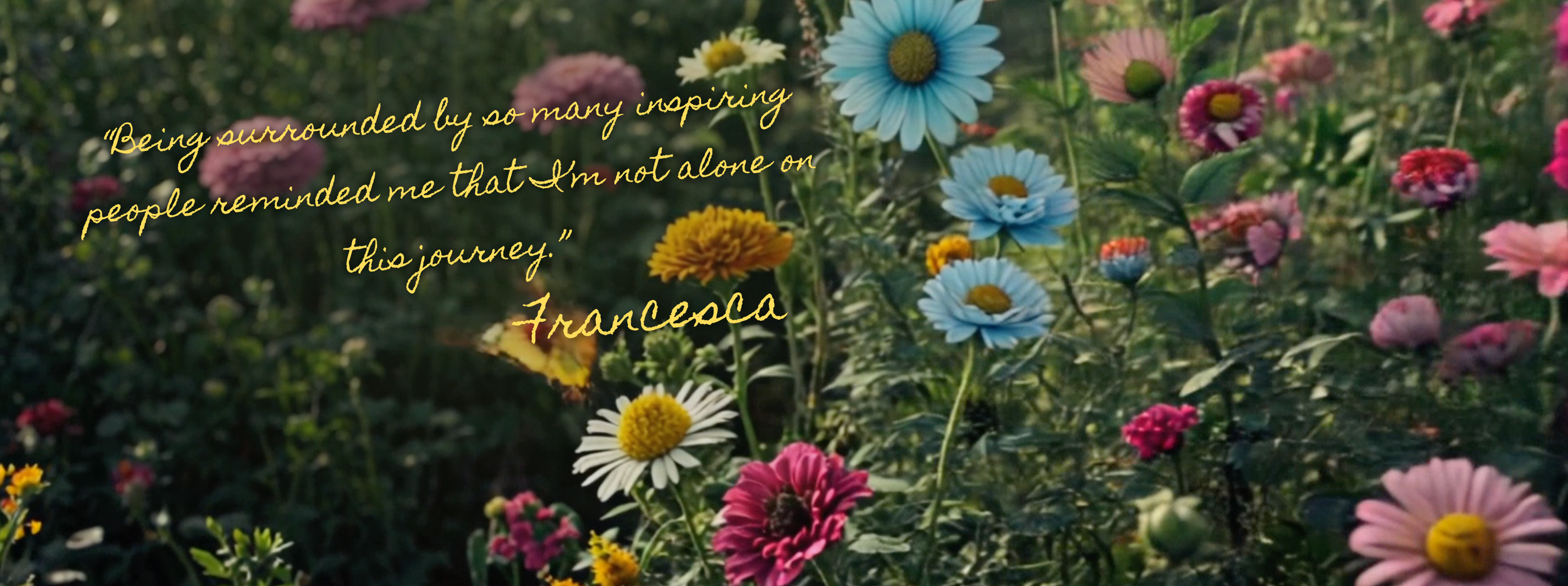 A colorful garden of blooming flowers, including daisies, marigolds, and zinnias, with a quote overlay that reads: "Being surrounded by so many inspiring people reminded me that I'm not alone on this journey." - Francesca.