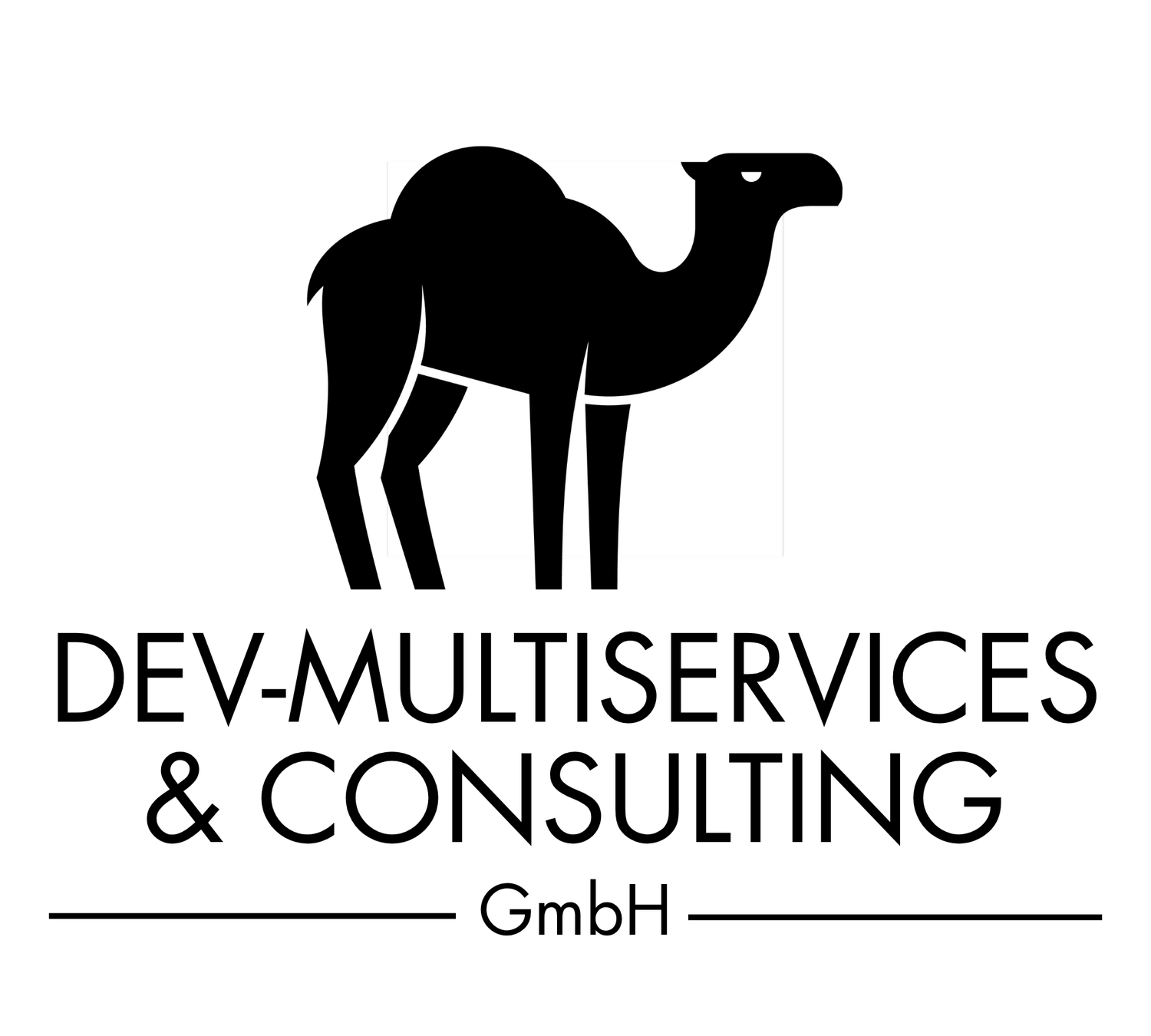 DEV Multiservice GmbH