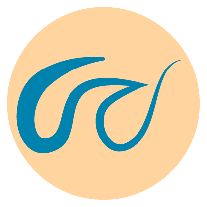 Case Study Web Design