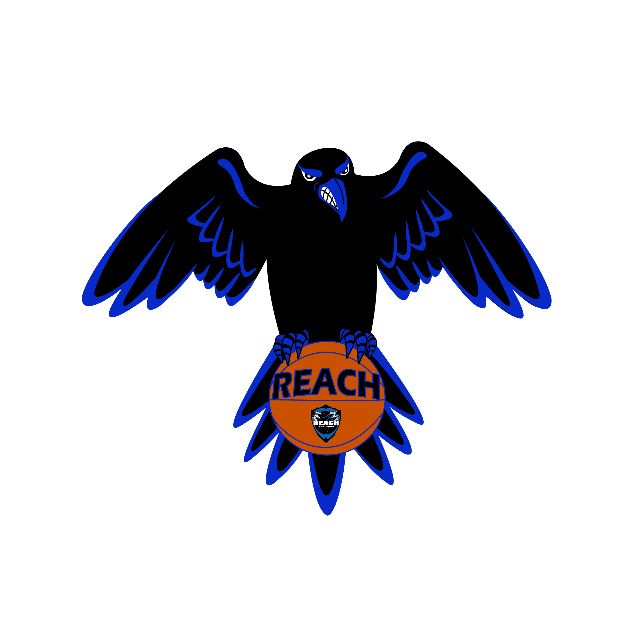Raven Mascot 