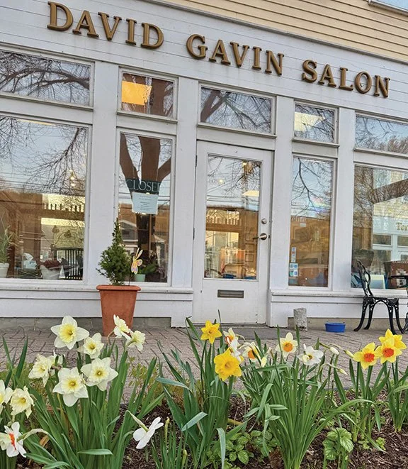 David Gavin Salon