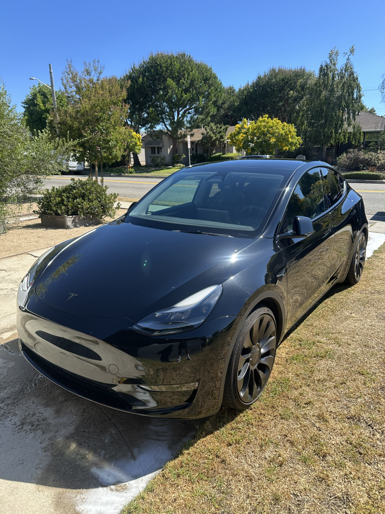 Model Y Front Detail