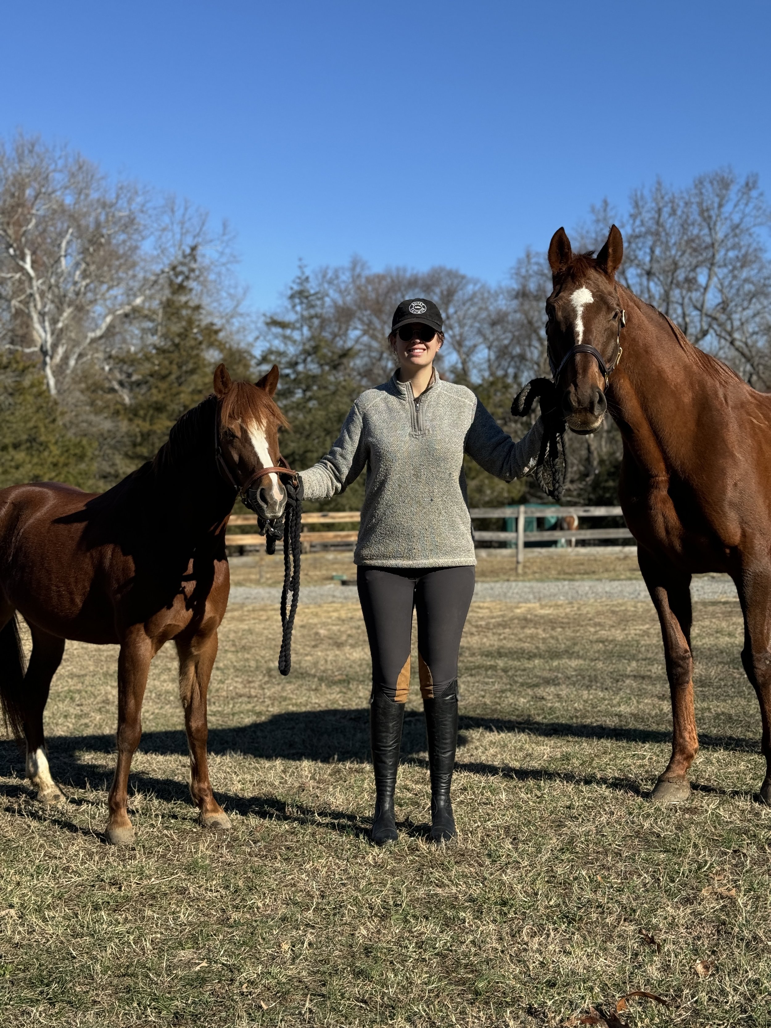 A woman standing outdoors holding two horses on leashes, with trees and a clear blue sky in the background.