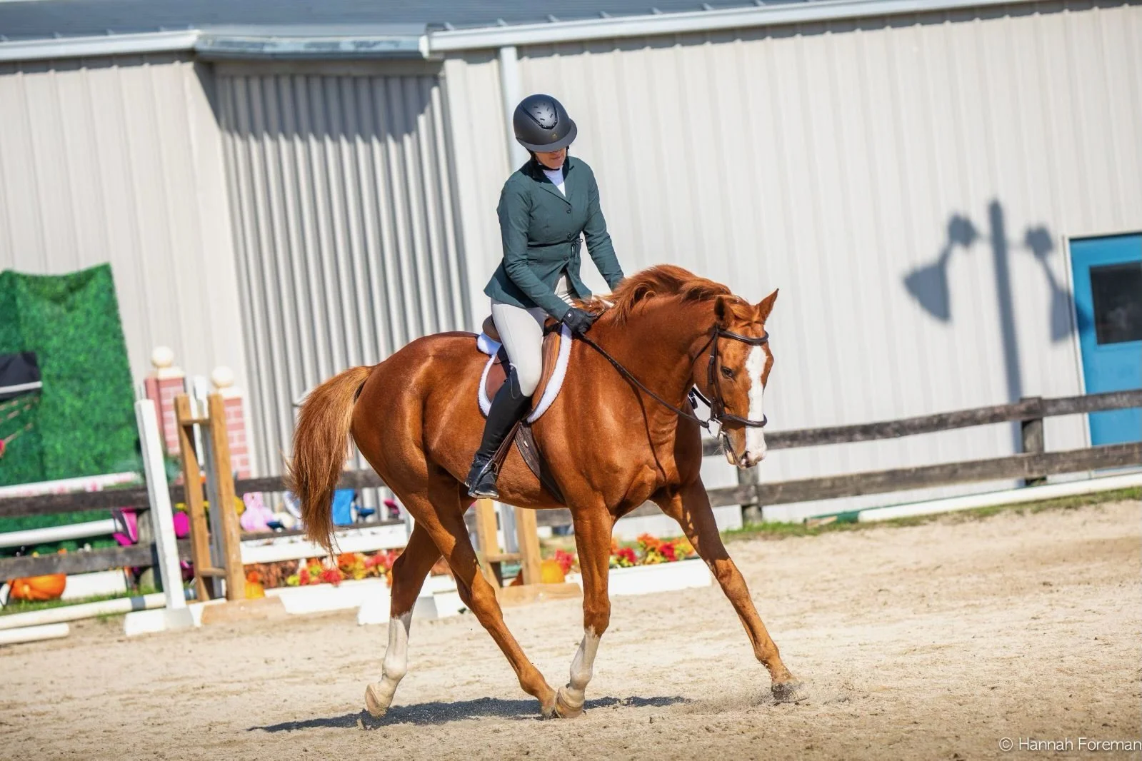 A person wearing a helmet and riding gear riding a chestnut horse on a dirt arena with a wooden fence and a large building in the background.