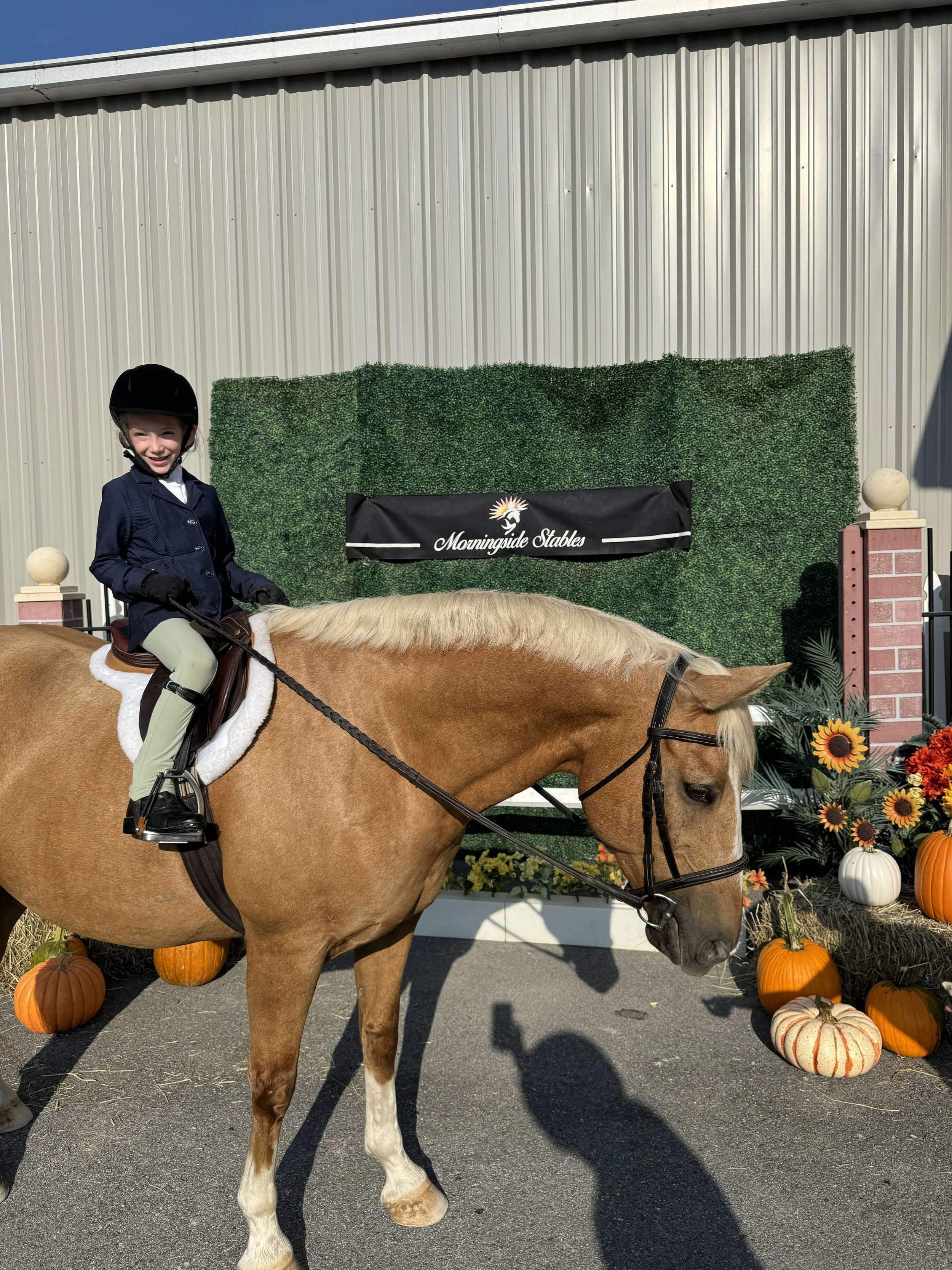 A young girl riding a horse at a fall-themed event with pumpkins and sunflowers, standing in front of a green hedge wall and a sign that reads 'Morningside Stables'.