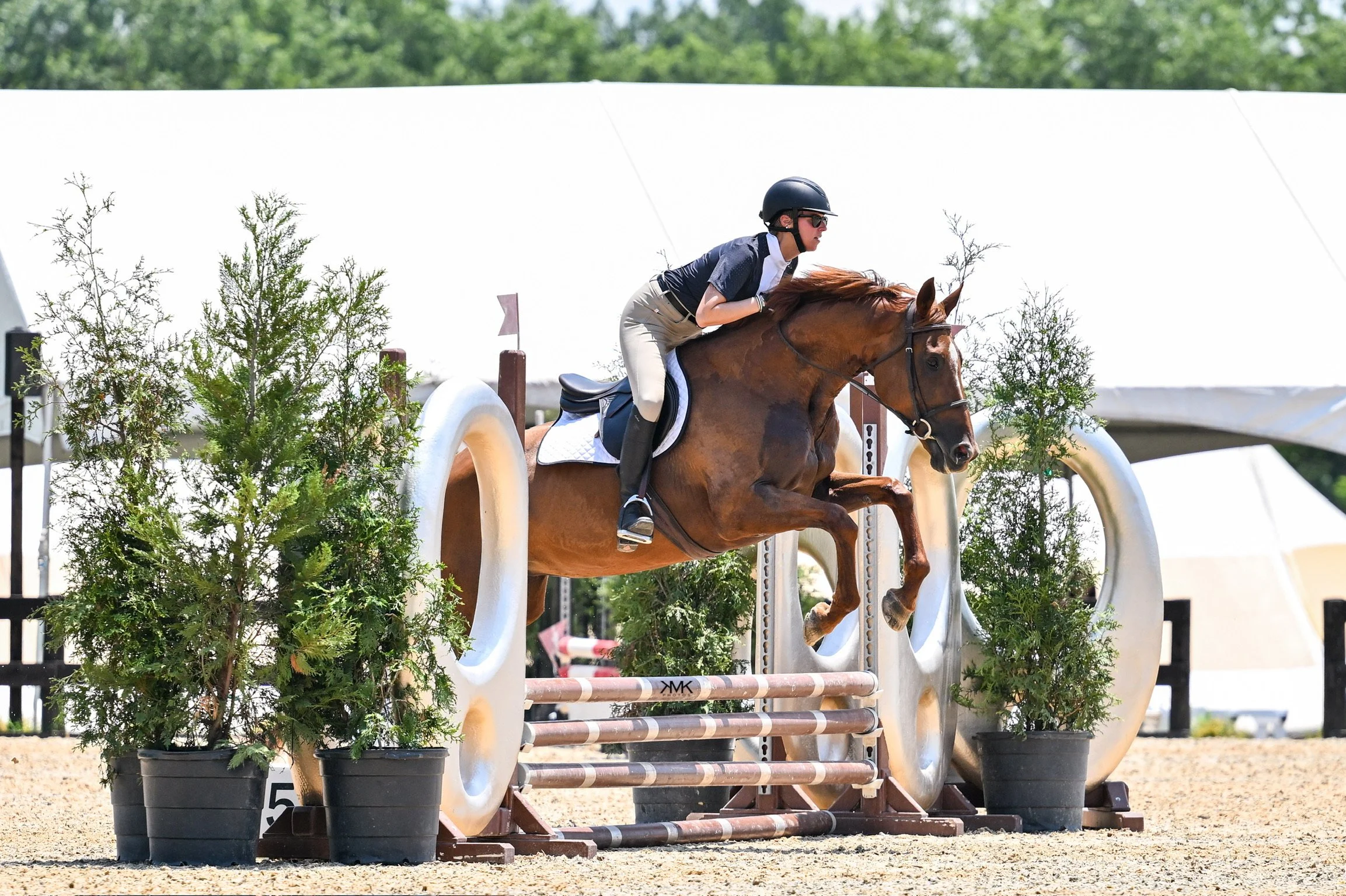 A rider in equestrian gear guiding a horse over a jump in a show jumping competition outdoors, with potted plants decorated around the obstacle.